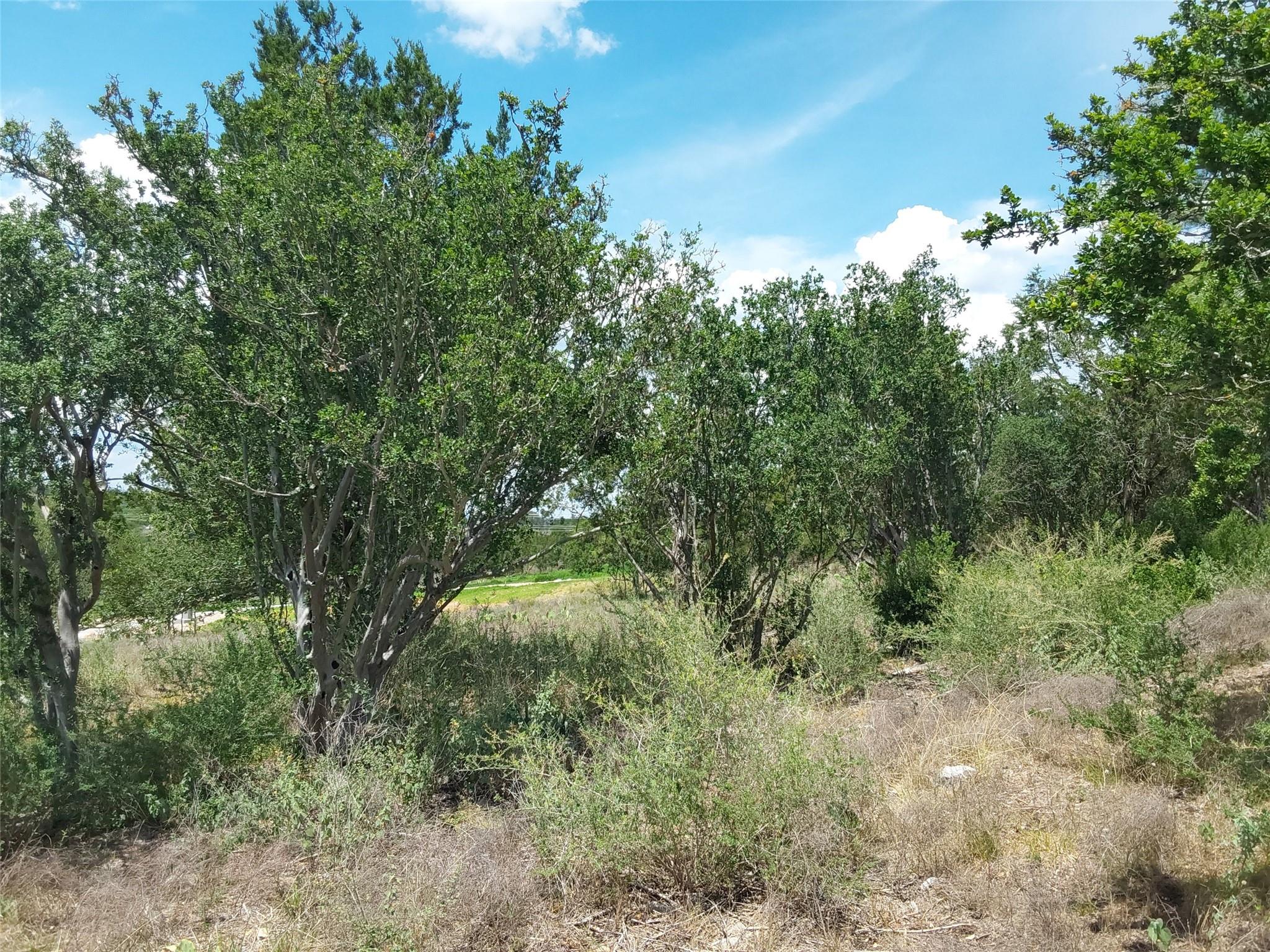 313 Eagle Basin Cir Property Photo 4
