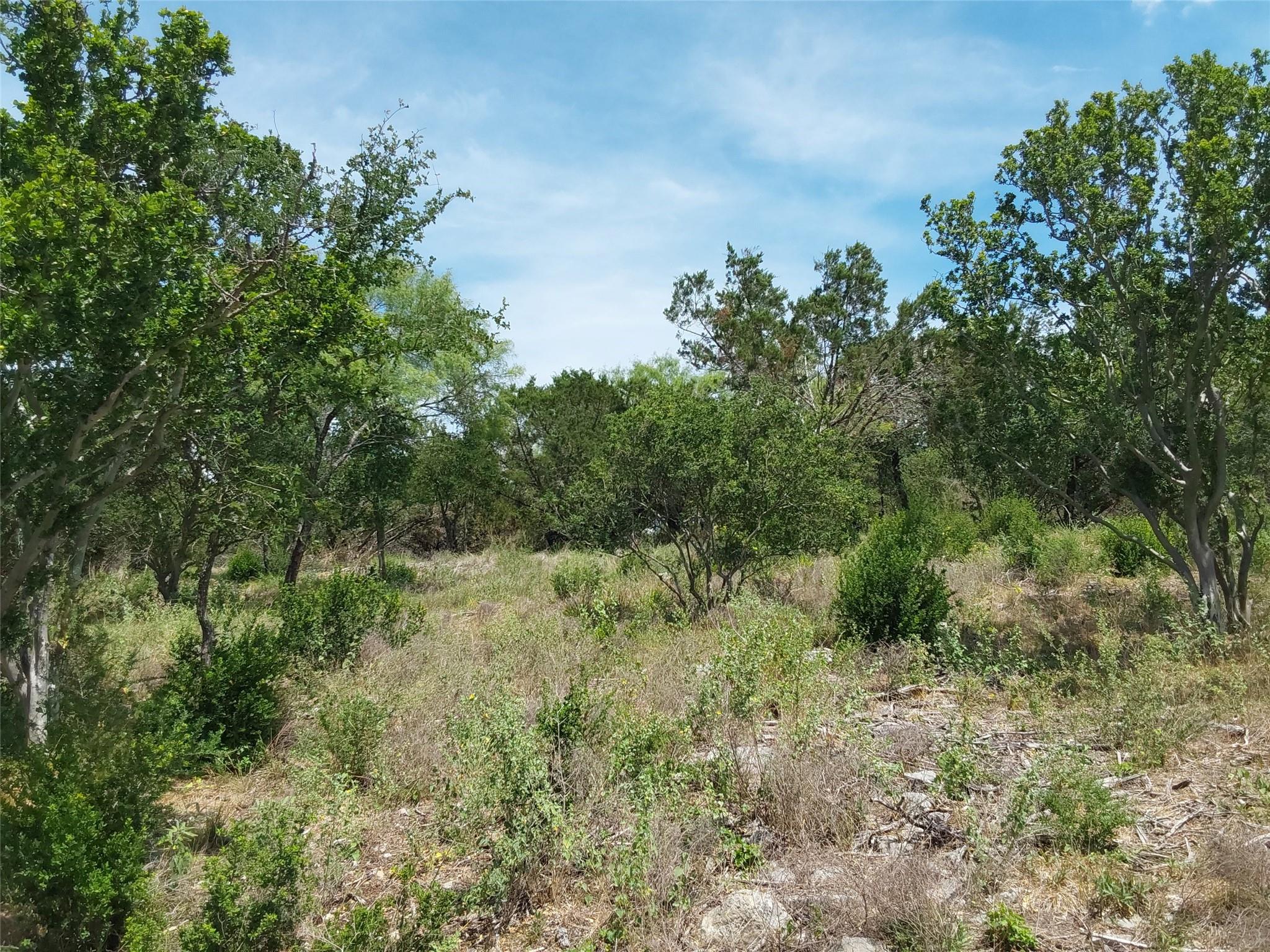 313 Eagle Basin Cir Property Photo 5