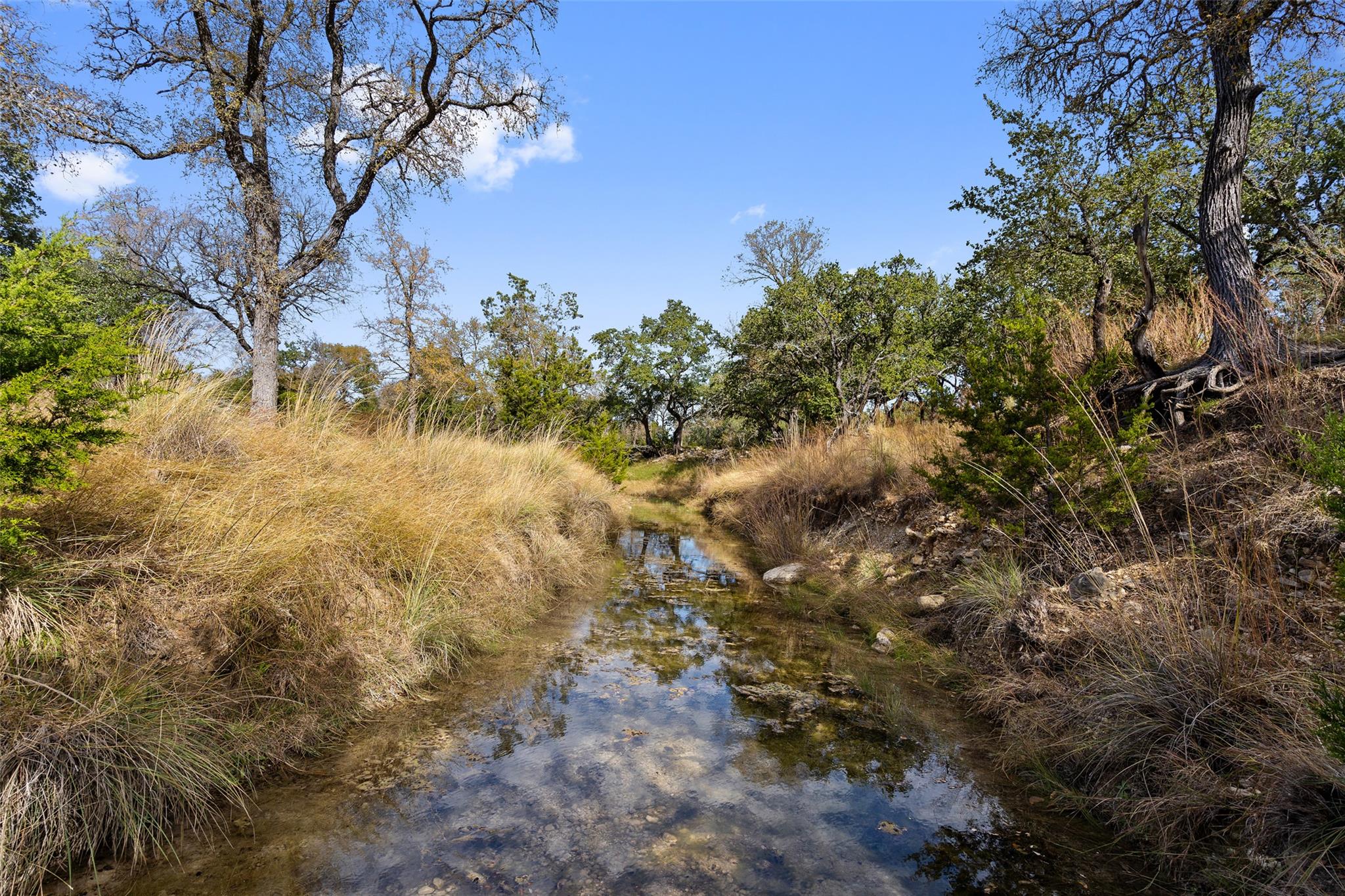 1145 Flat Creek Road Property Photo 3