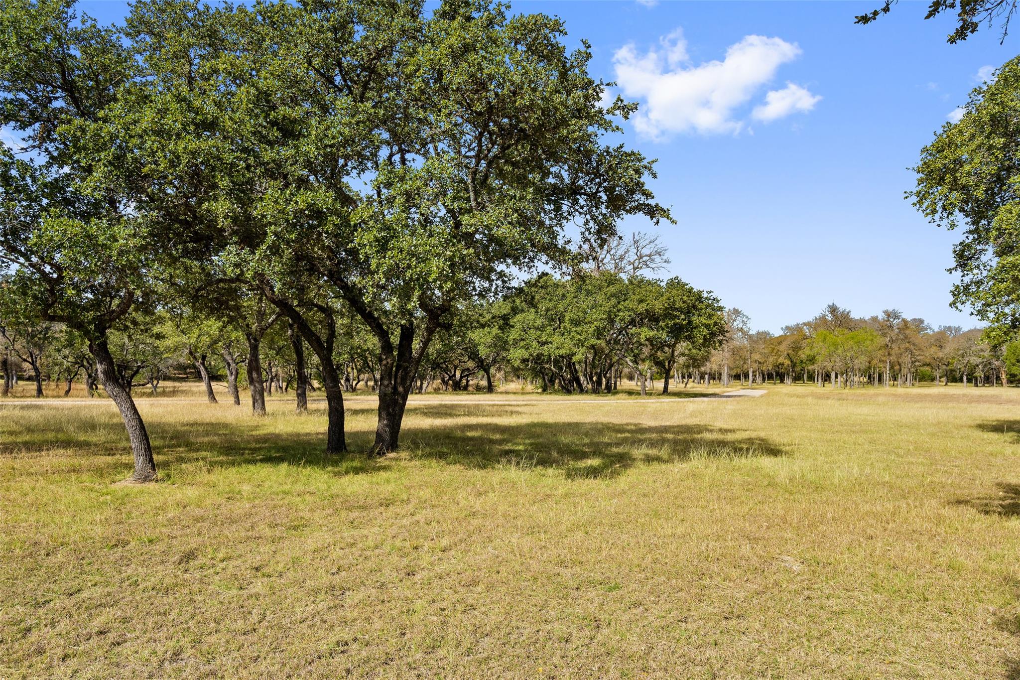 1145 Flat Creek Road Property Photo 15