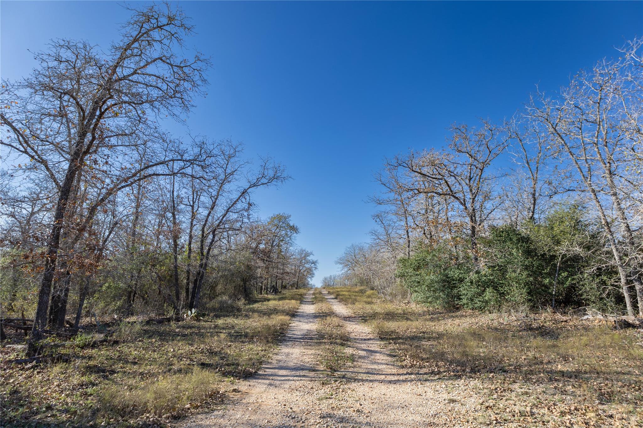 399 Seals Creek Rd Property Photo 13