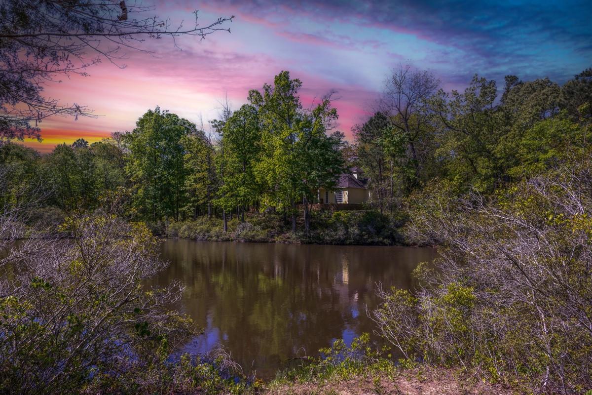 Tyler Real Estate Listings Main Image