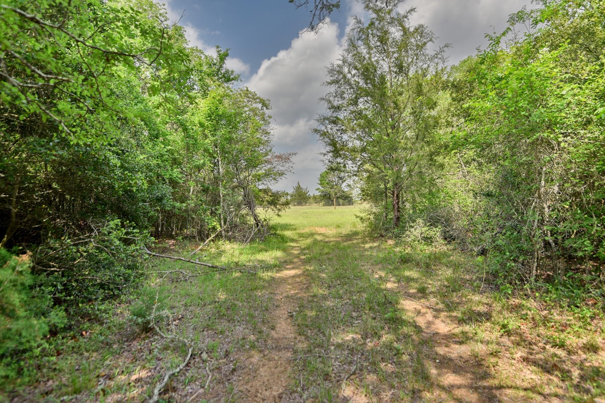 7664 Fm 141 Property Photo 10