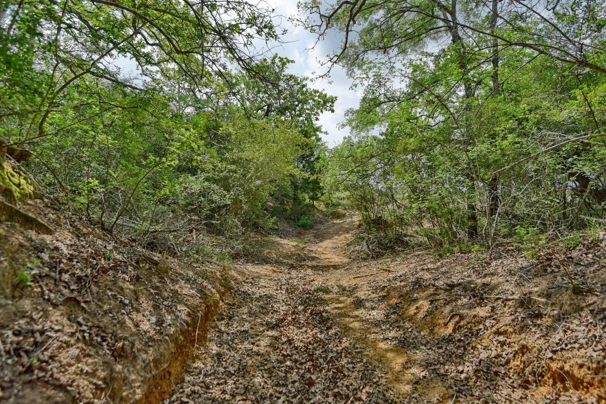 7664 Fm 141 Property Photo 11