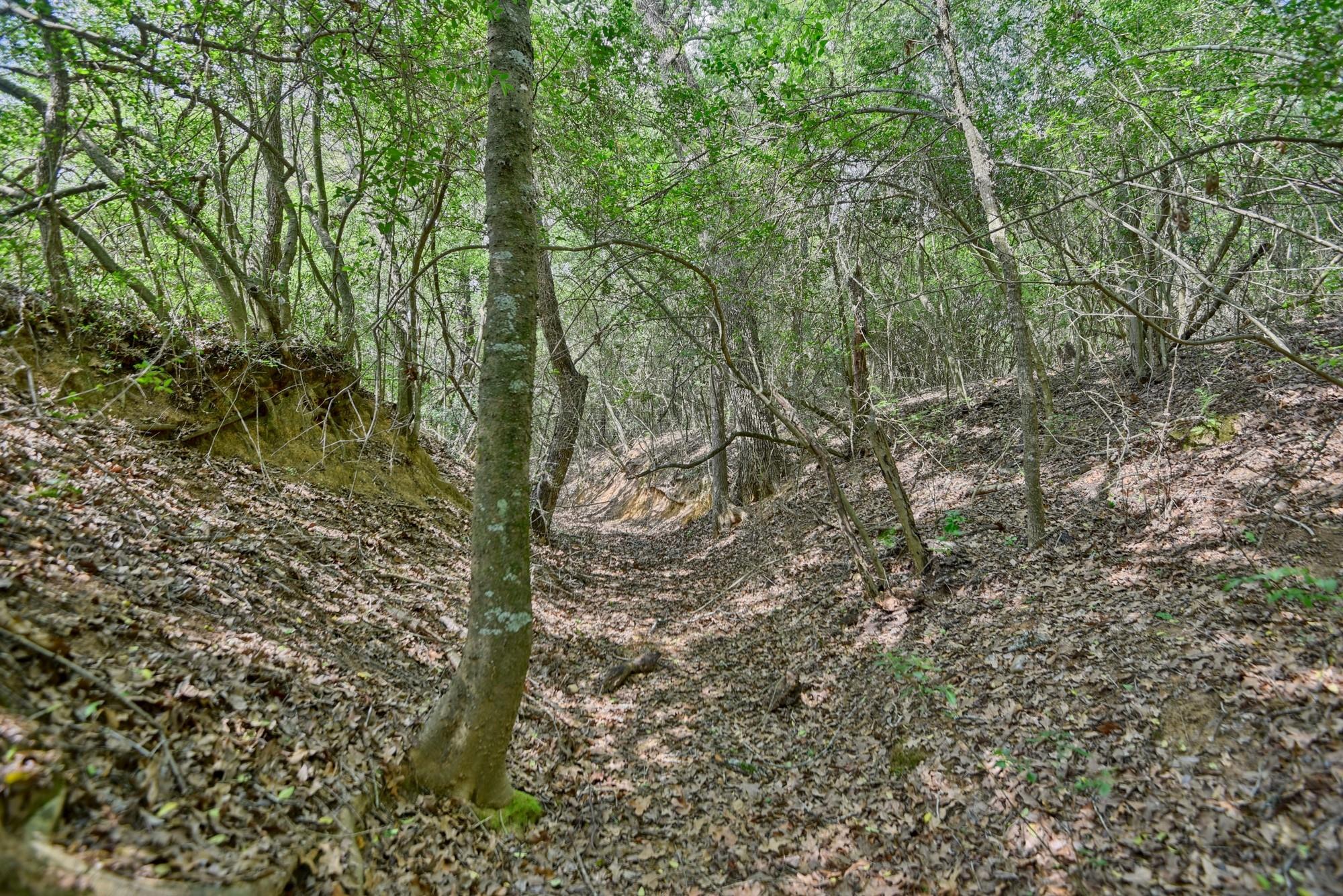 7664 Fm 141 Property Photo 12
