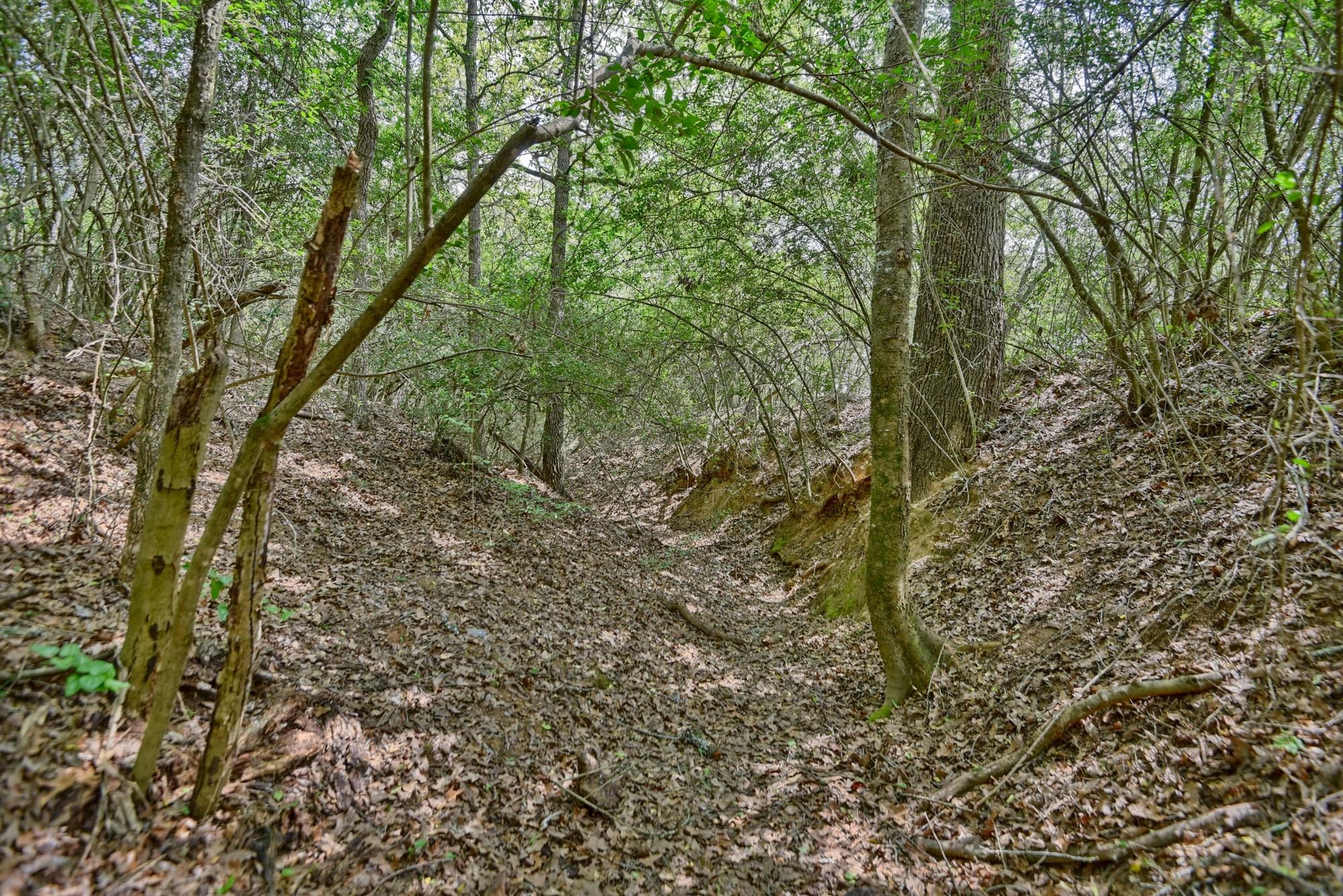 7664 Fm 141 Property Photo 13