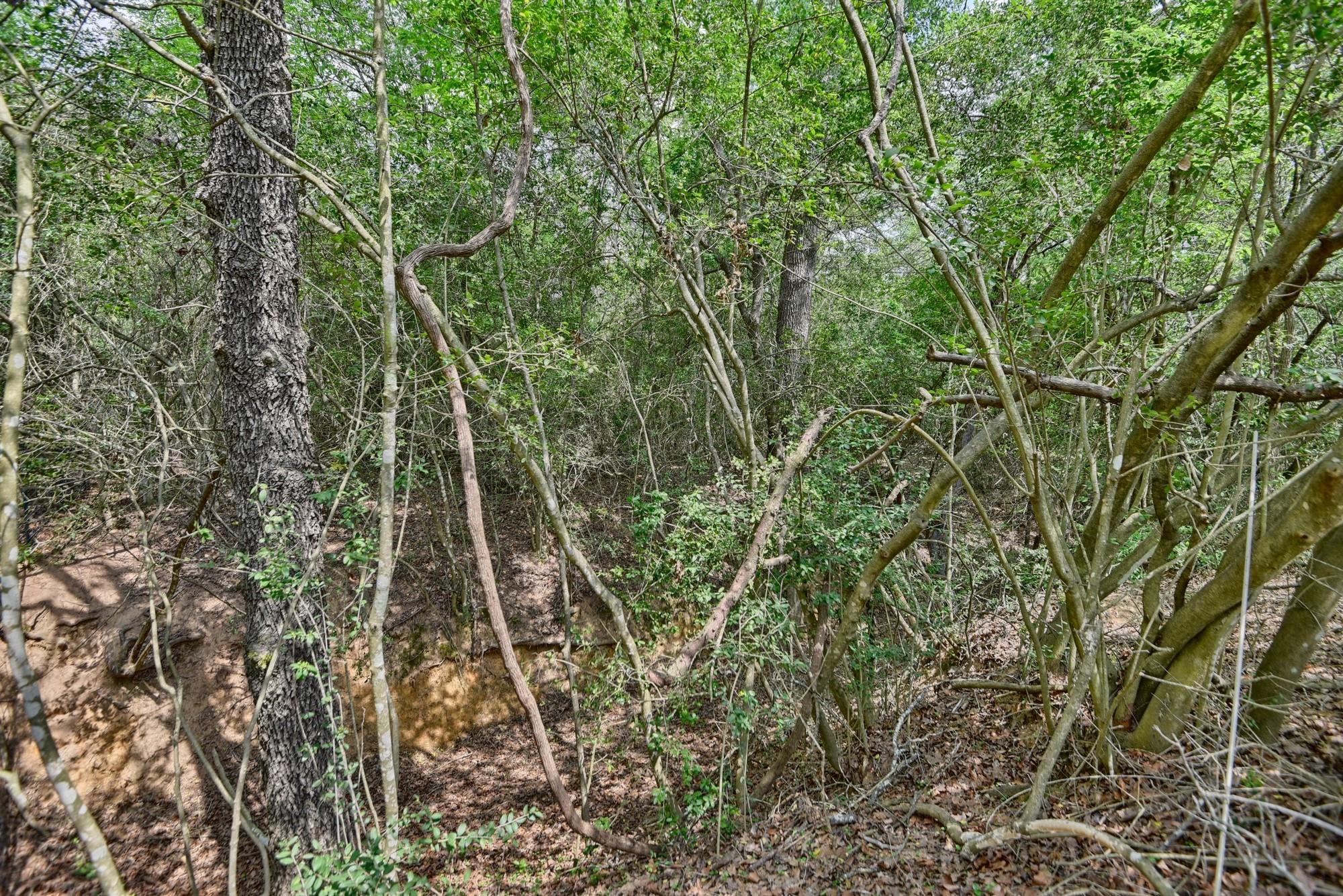 7664 Fm 141 Property Photo 14