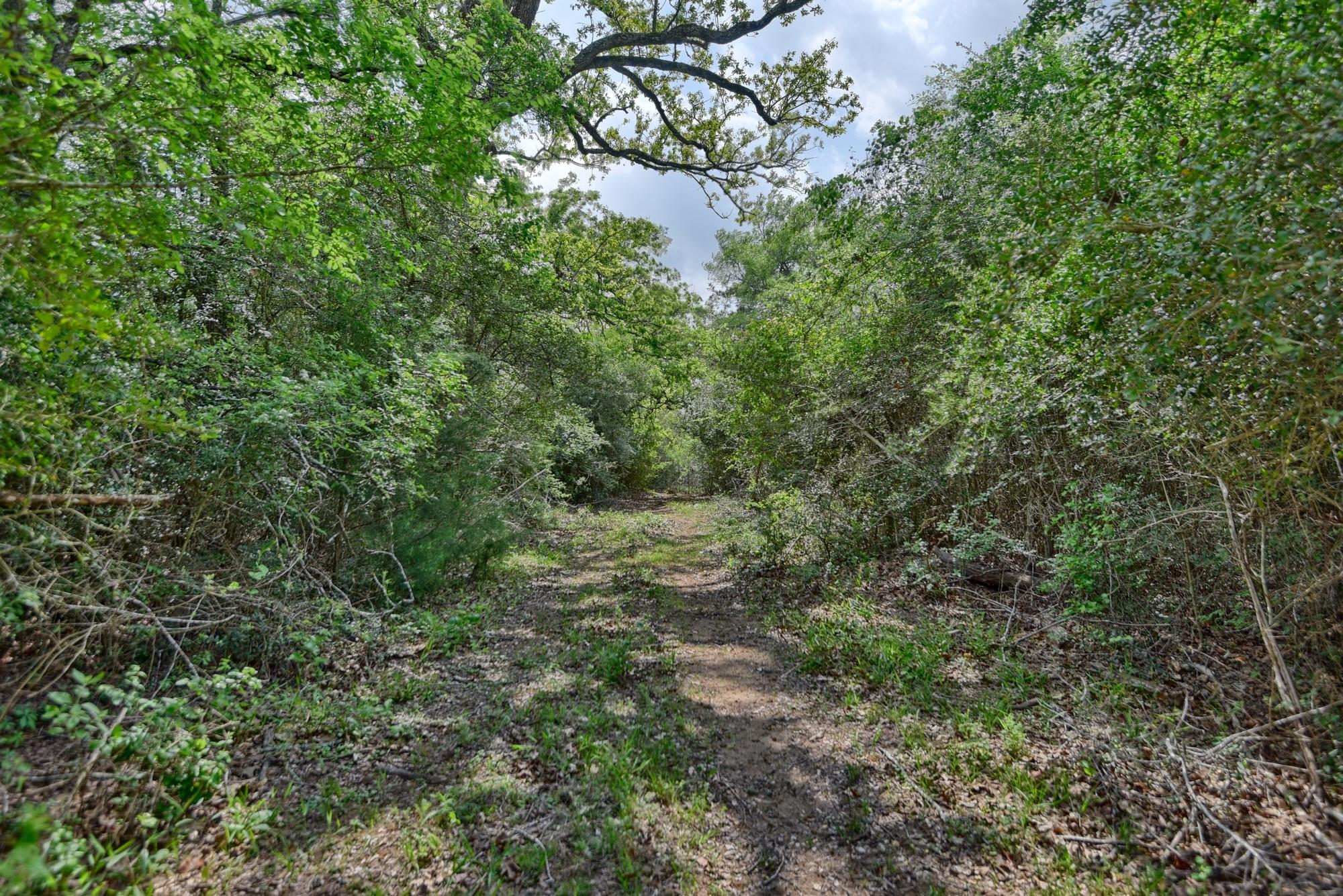 7664 Fm 141 Property Photo 15