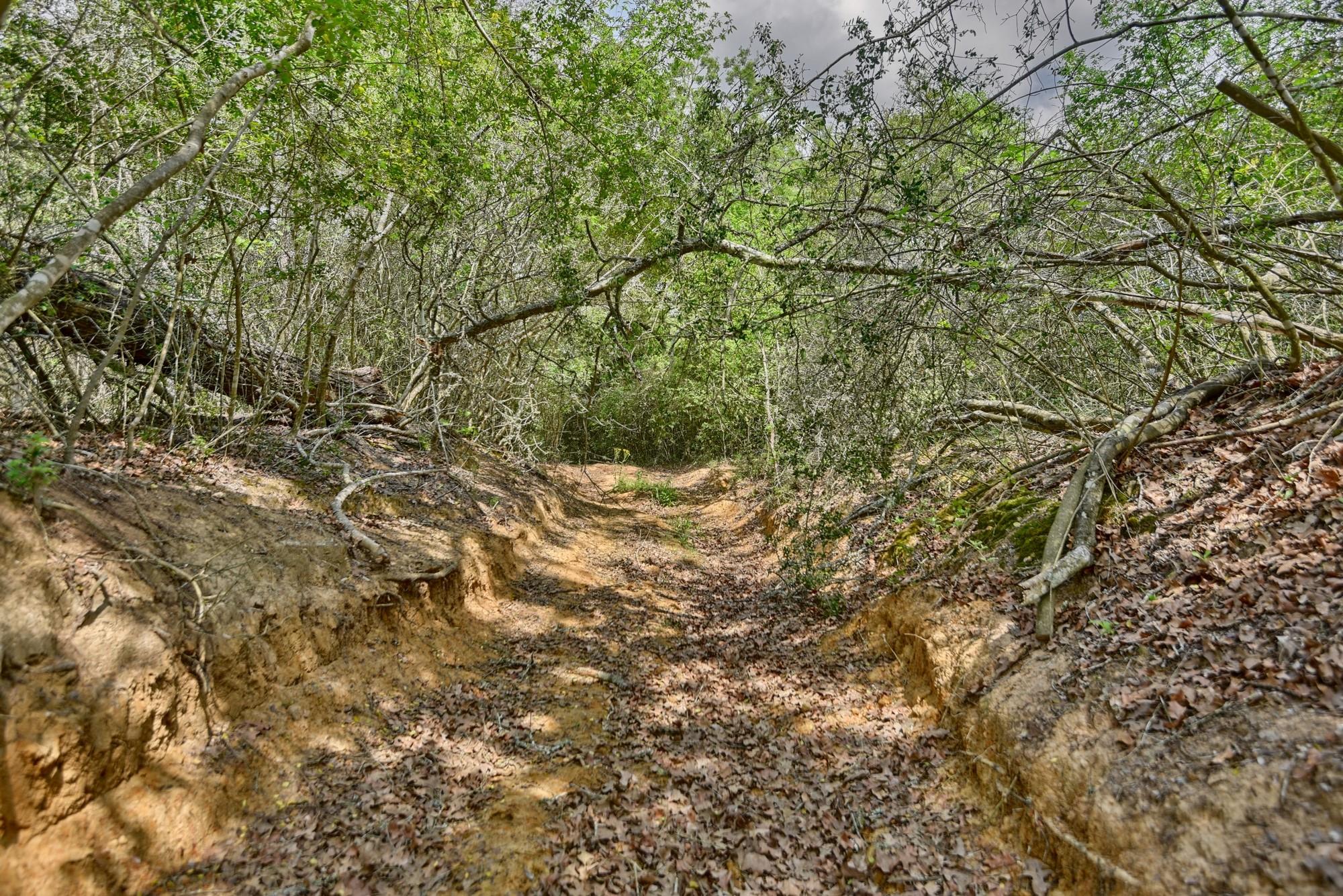 7664 Fm 141 Property Photo 16