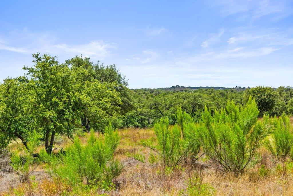 207 Verbena Rd Property Photo 15