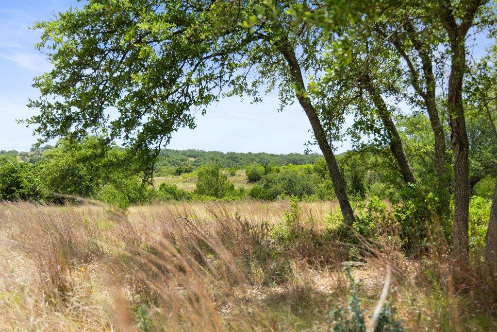 207 Verbena Rd Property Photo 19
