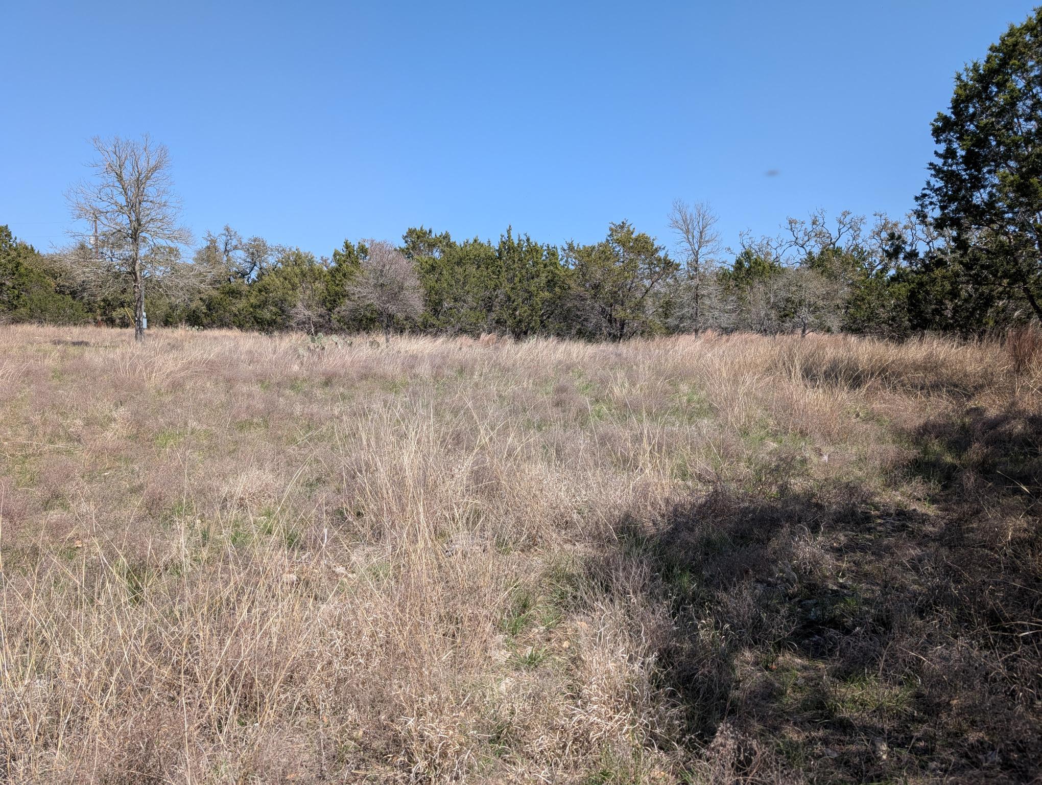 508 Deer Creek Dr Property Photo 4