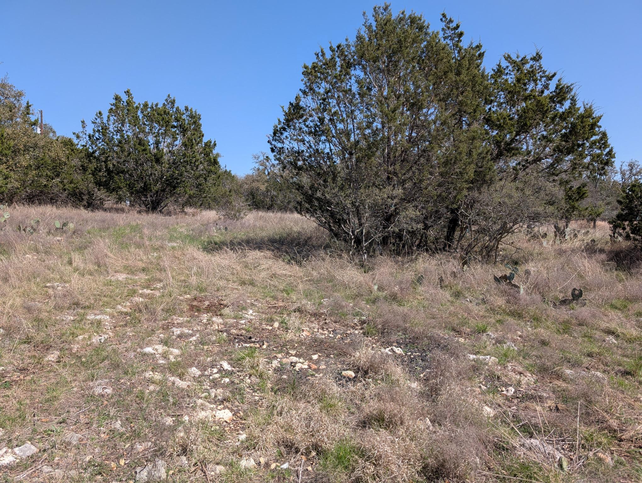 508 Deer Creek Dr Property Photo 7