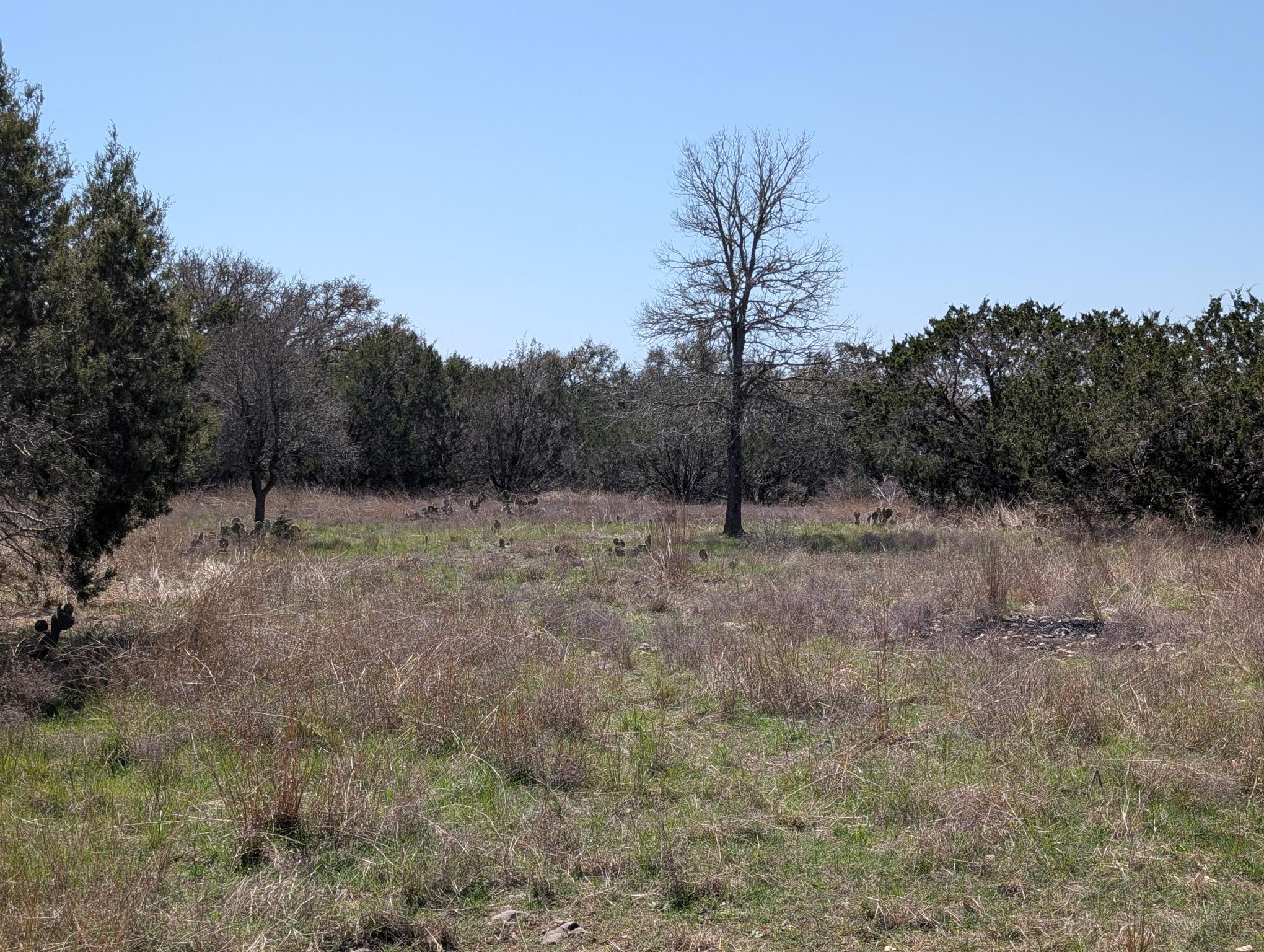 508 Deer Creek Dr Property Photo 9