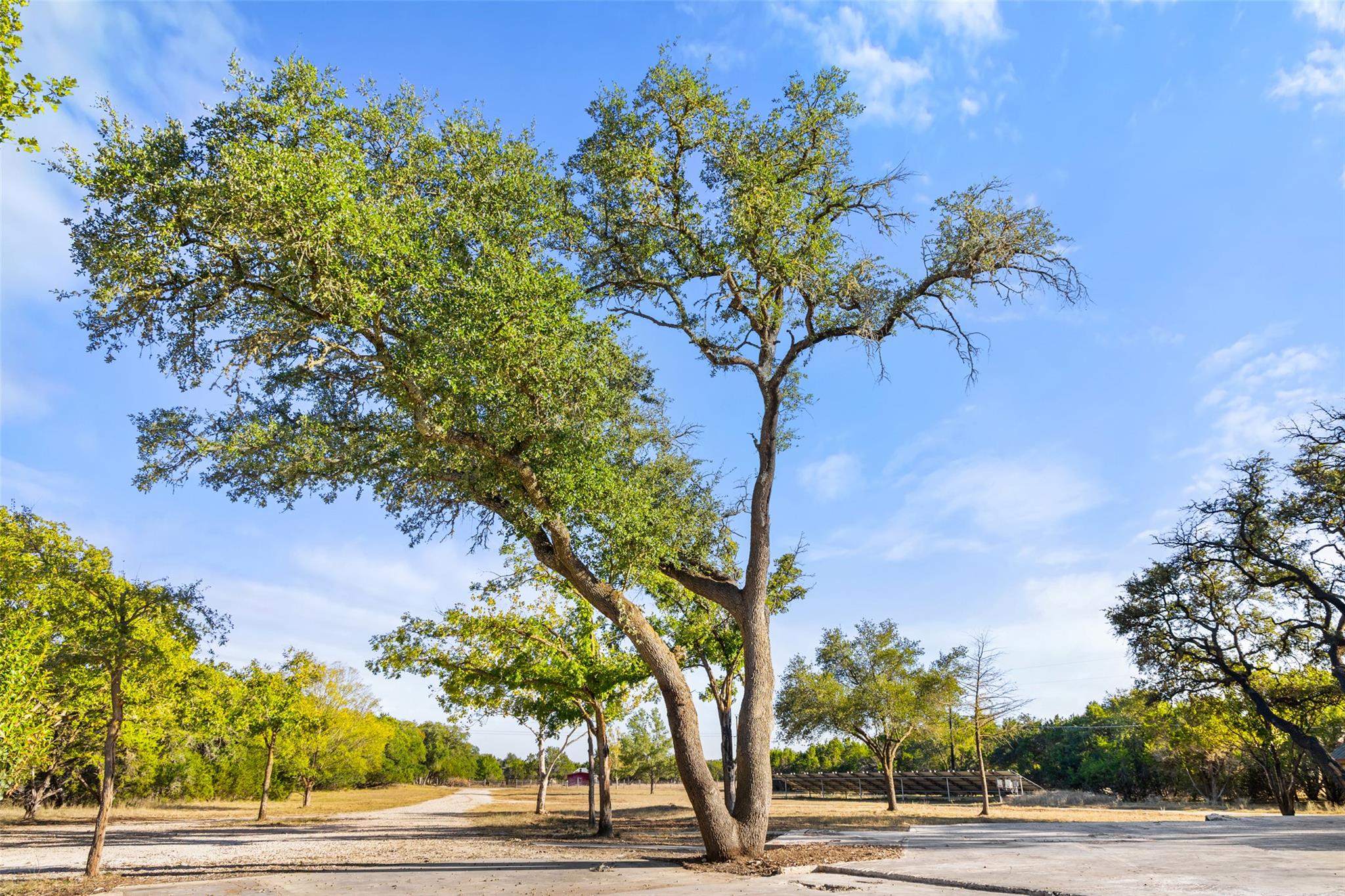 205 Mesquite Trl Property Photo 18