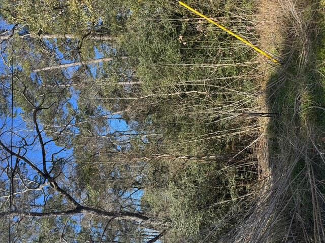 6612595 Property Photo 2
