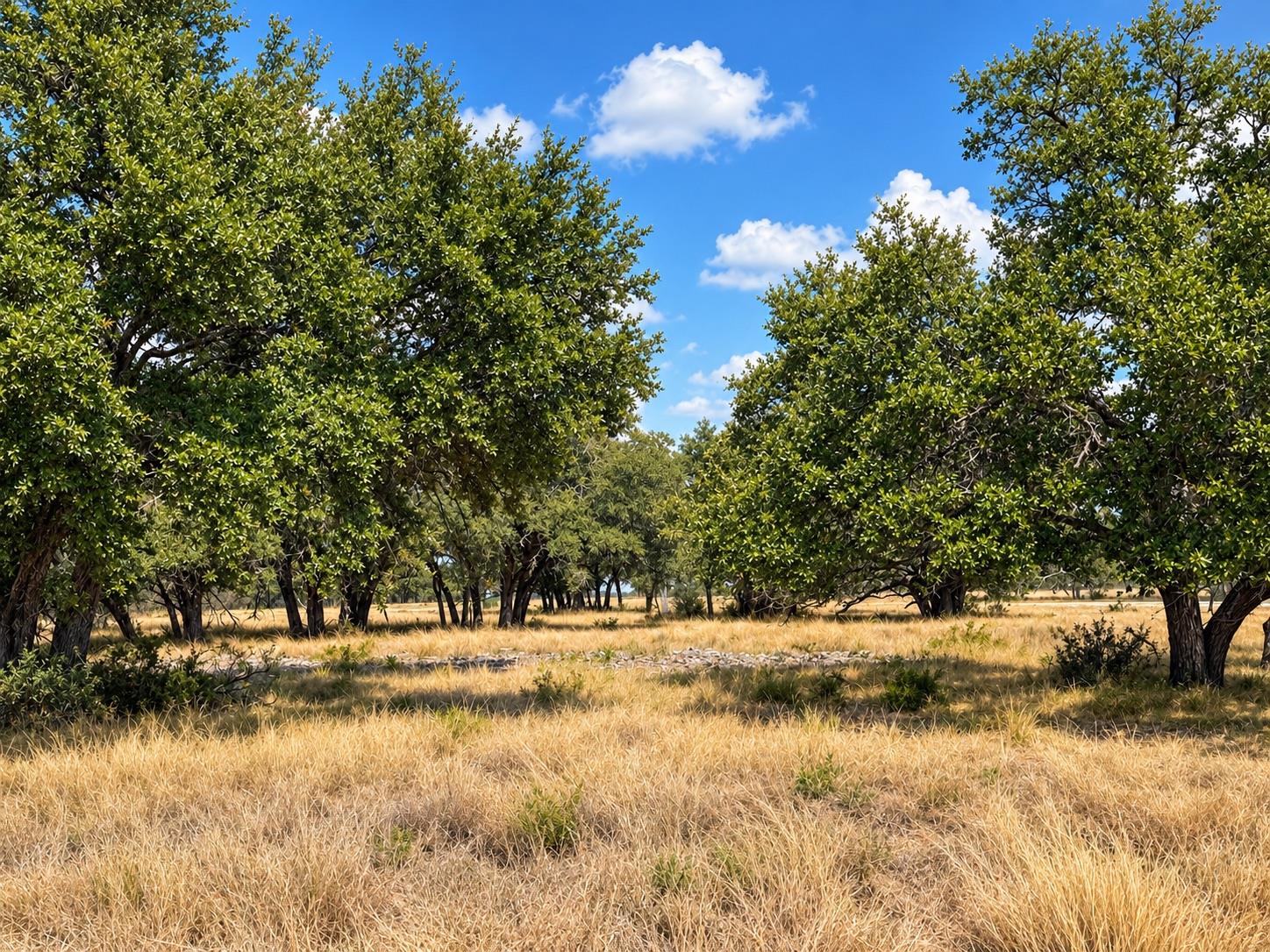 Lot 123 Fallow Drive Dr Property Photo 1