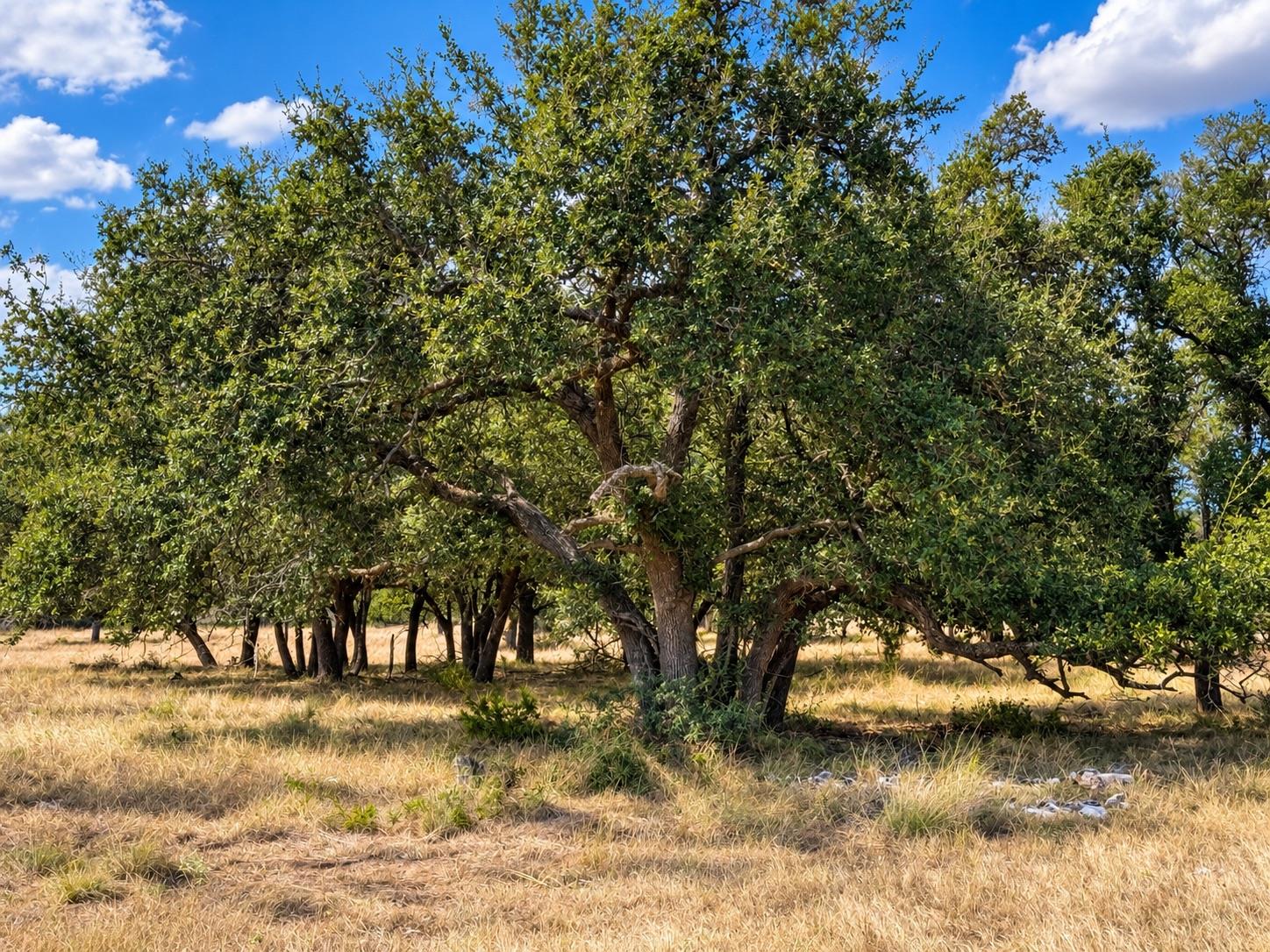 Lot 123 Fallow Drive Dr Property Photo 3