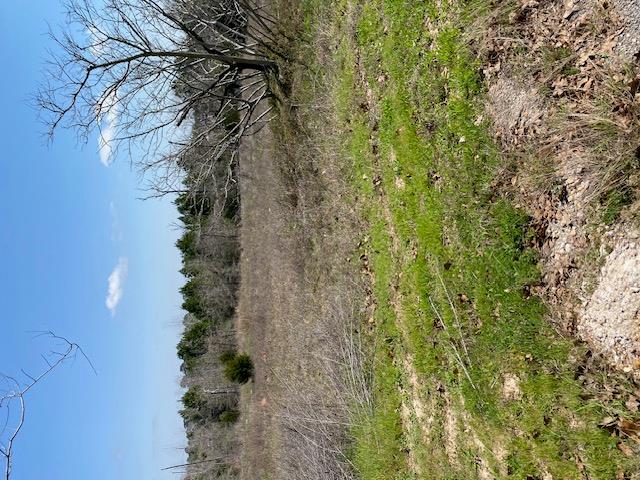123 Lariat Ct Property Photo 1