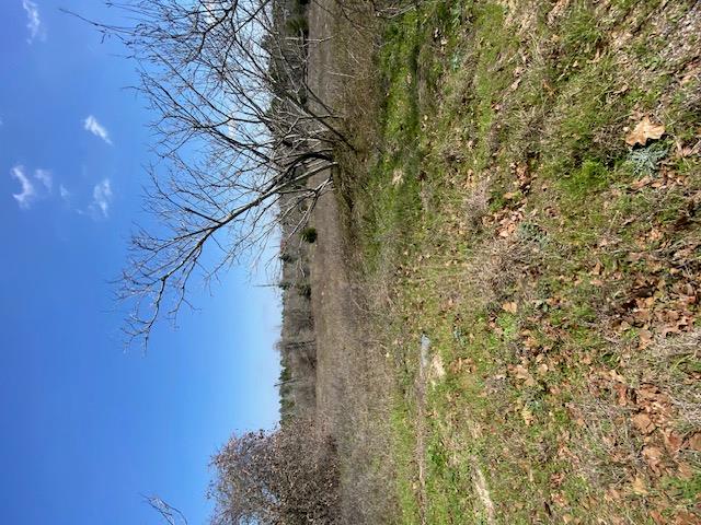 123 Lariat Ct Property Photo 3