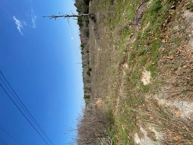 123 Lariat Ct Property Photo 4