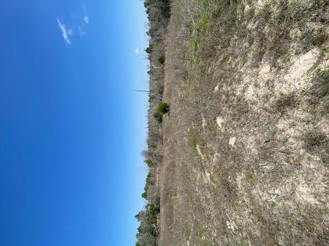 123 Lariat Ct Property Photo 5