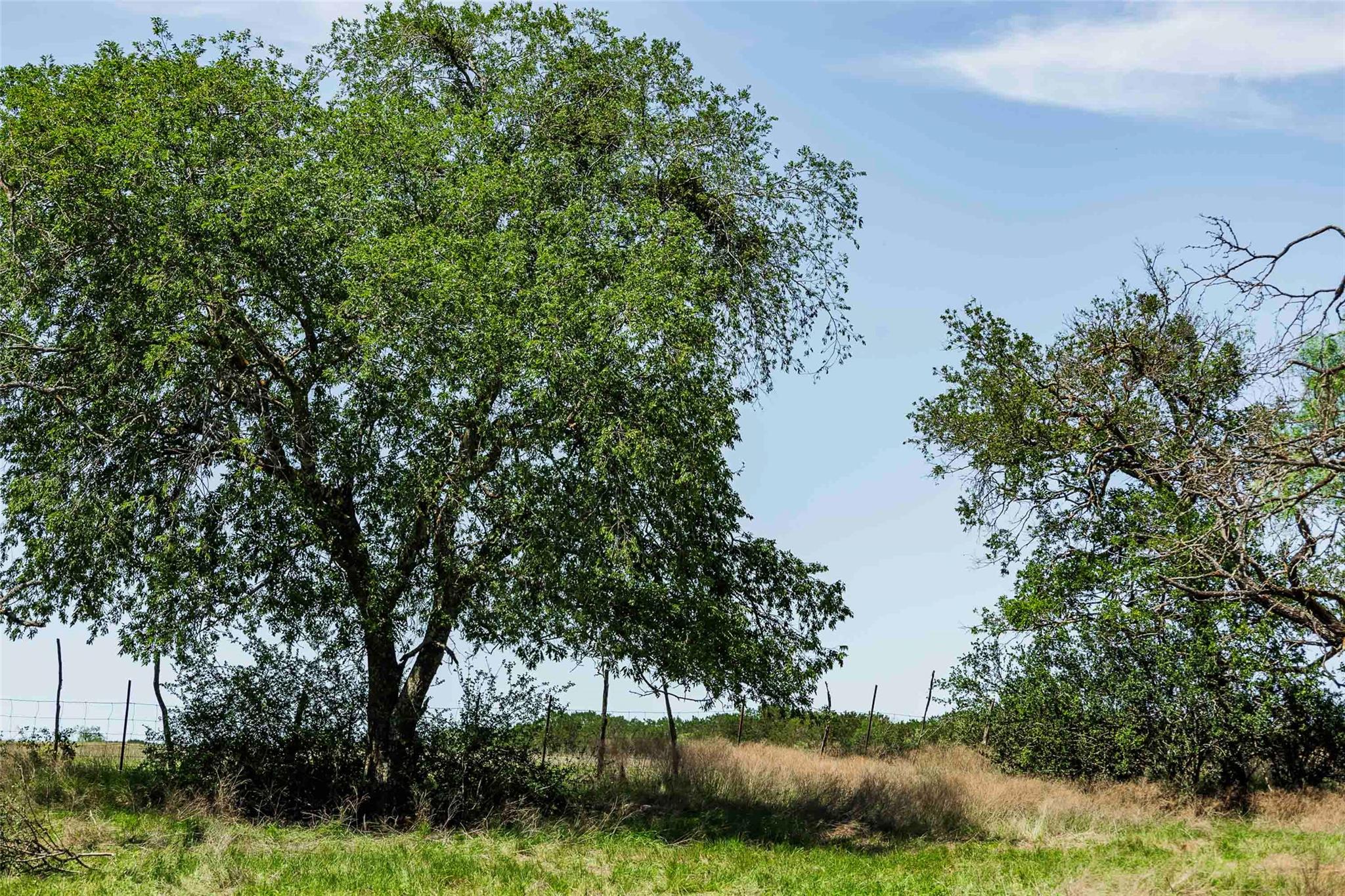 Tbd Tract 2 County Road 203 None Property Photo 3