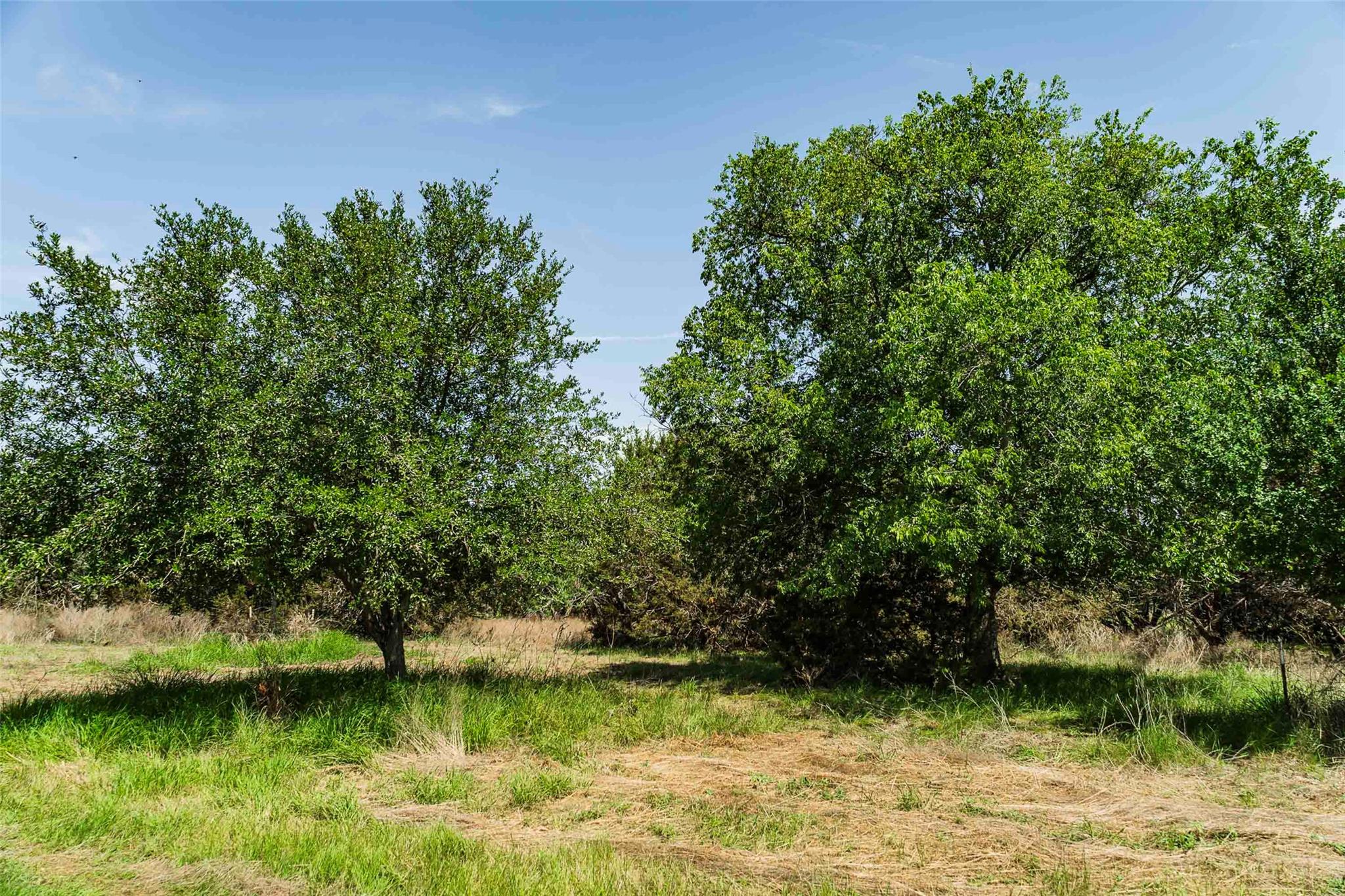 Tbd Tract 2 County Road 203 None Property Photo 4