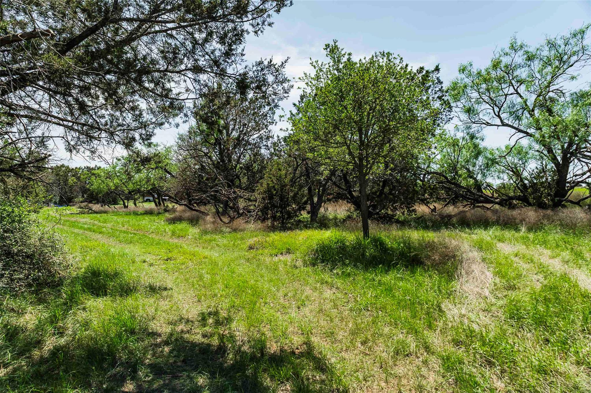 Tbd Tract 2 County Road 203 None Property Photo 5