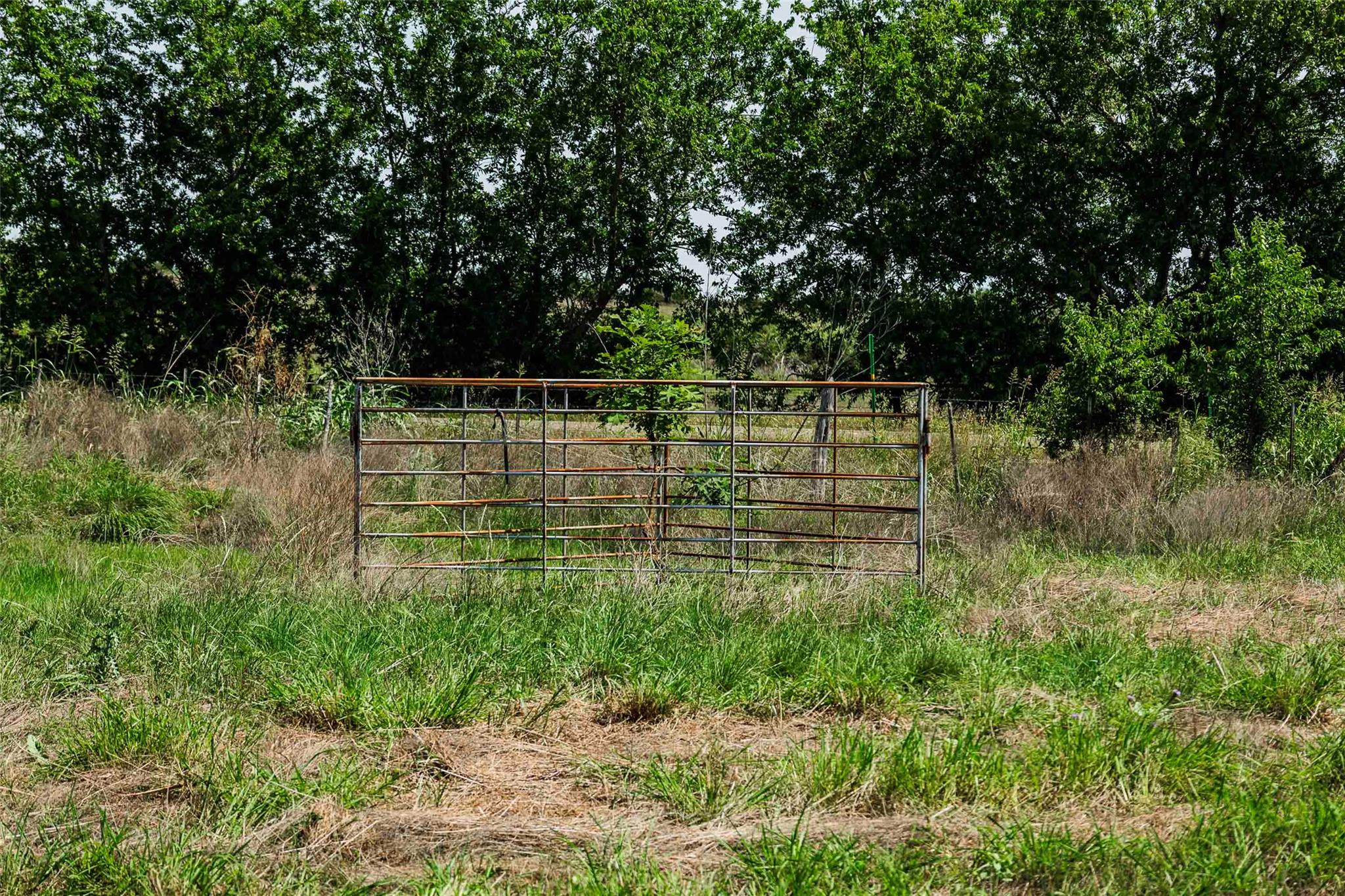 Tbd Tract 2 County Road 203 None Property Photo 8