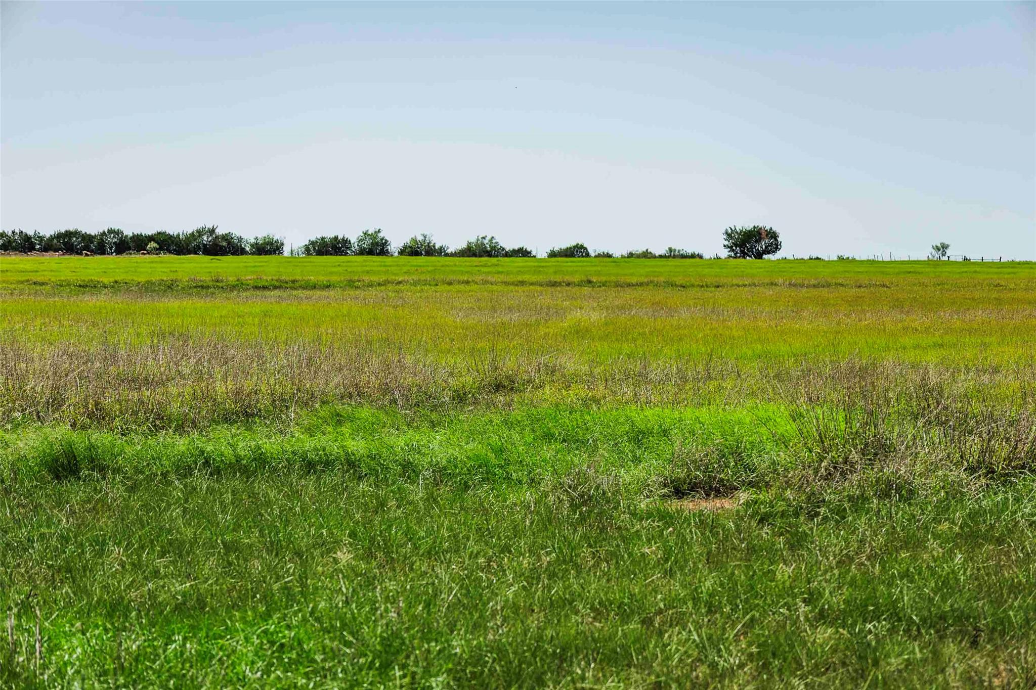 Tbd Tract 2 County Road 203 None Property Photo 13