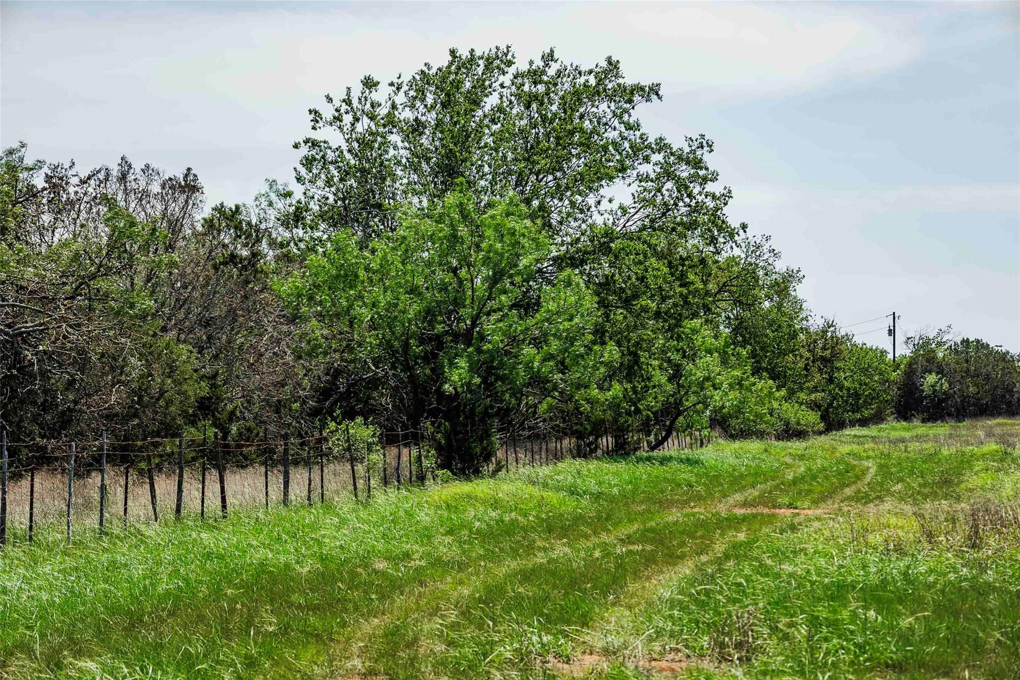 Tbd Tract 2 County Road 203 None Property Photo 15