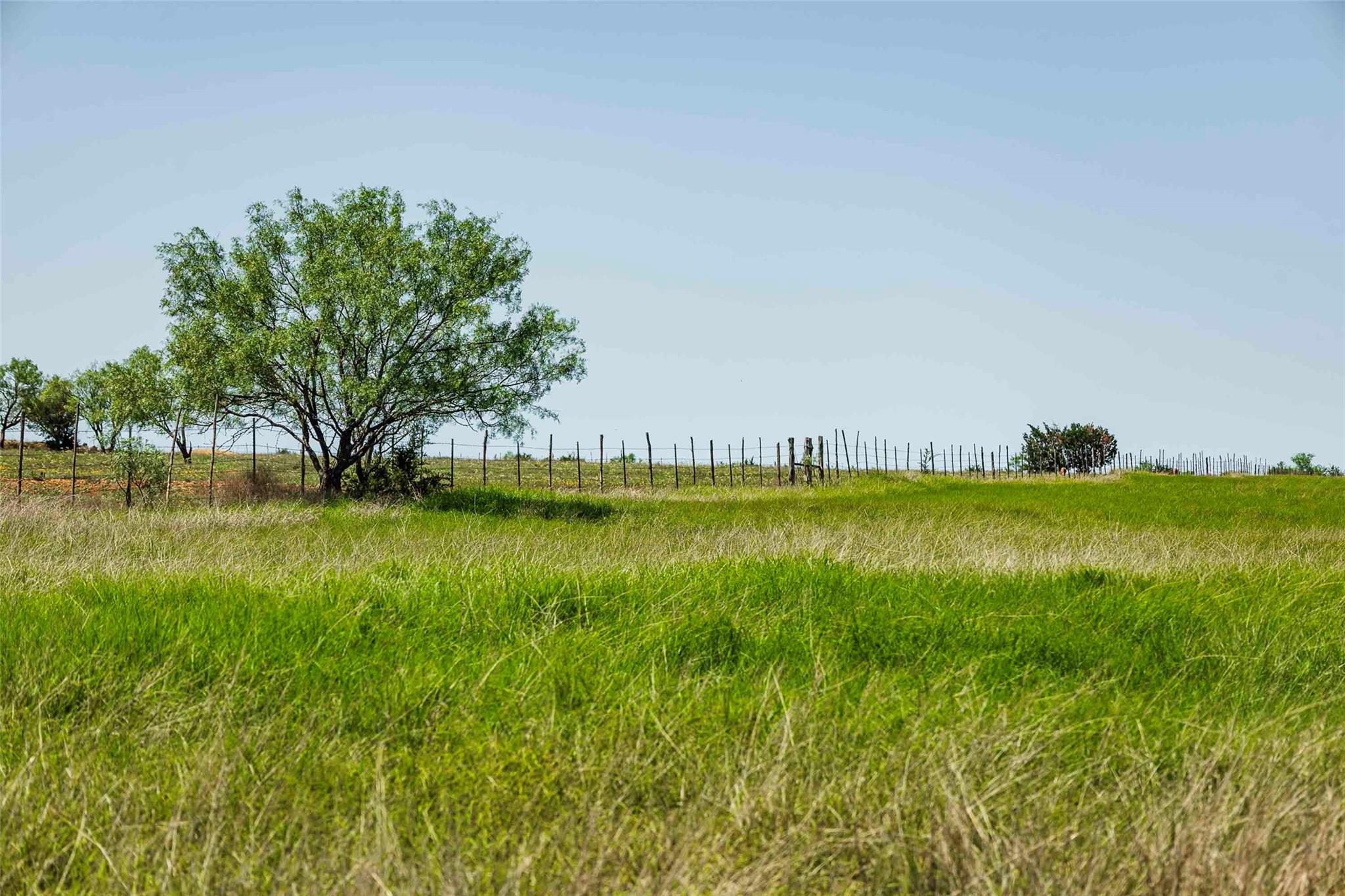 Tbd Tract 2 County Road 203 None Property Photo 16