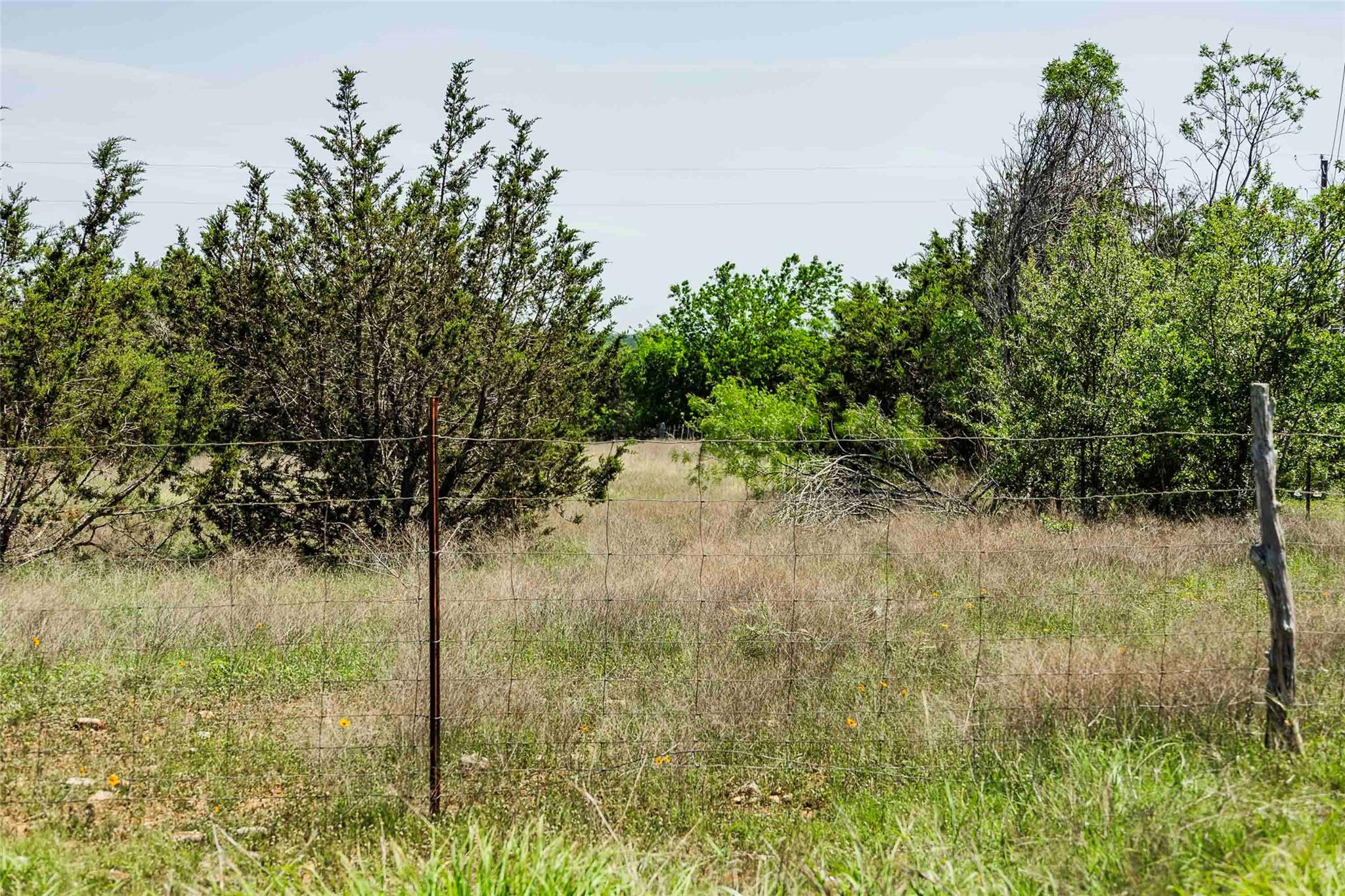 Tbd Tract 2 County Road 203 None Property Photo 17