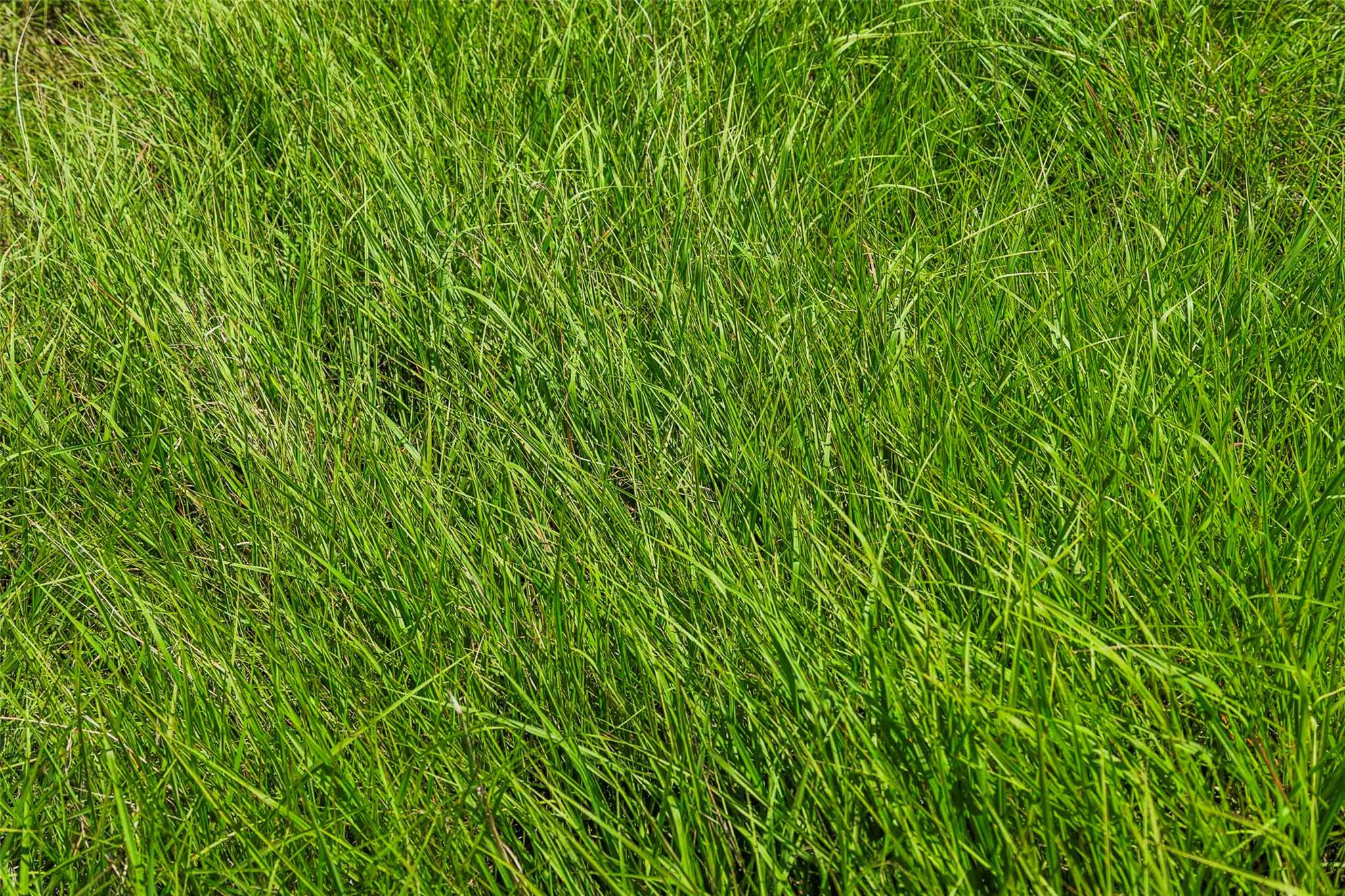 Tbd Tract 2 County Road 203 None Property Photo 18