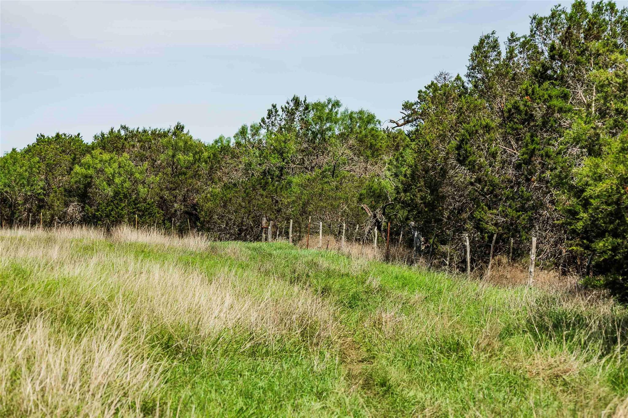 Tbd Tract 2 County Road 203 None Property Photo 19