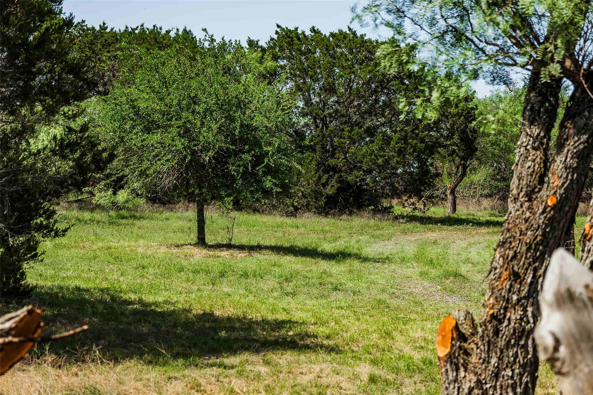 Tbd Tract 2 County Road 203 None Property Photo 20