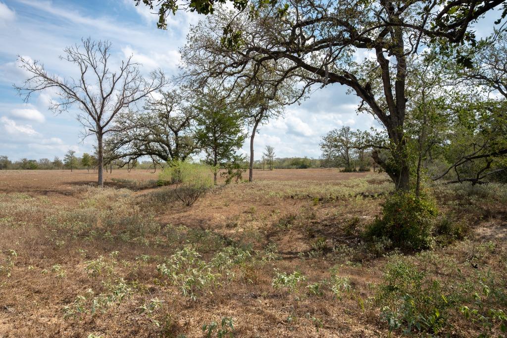 1610 Silver Mine Rd Property Photo 28