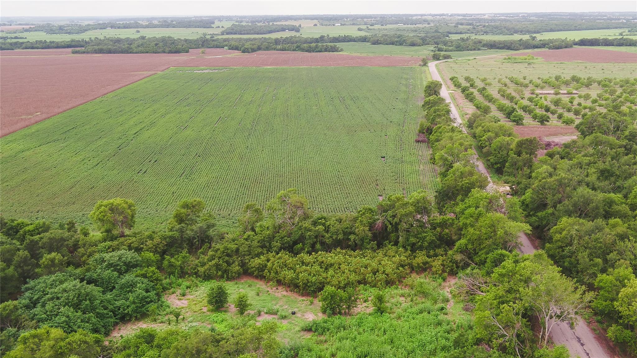 Tbd Cr 240a Property Photo