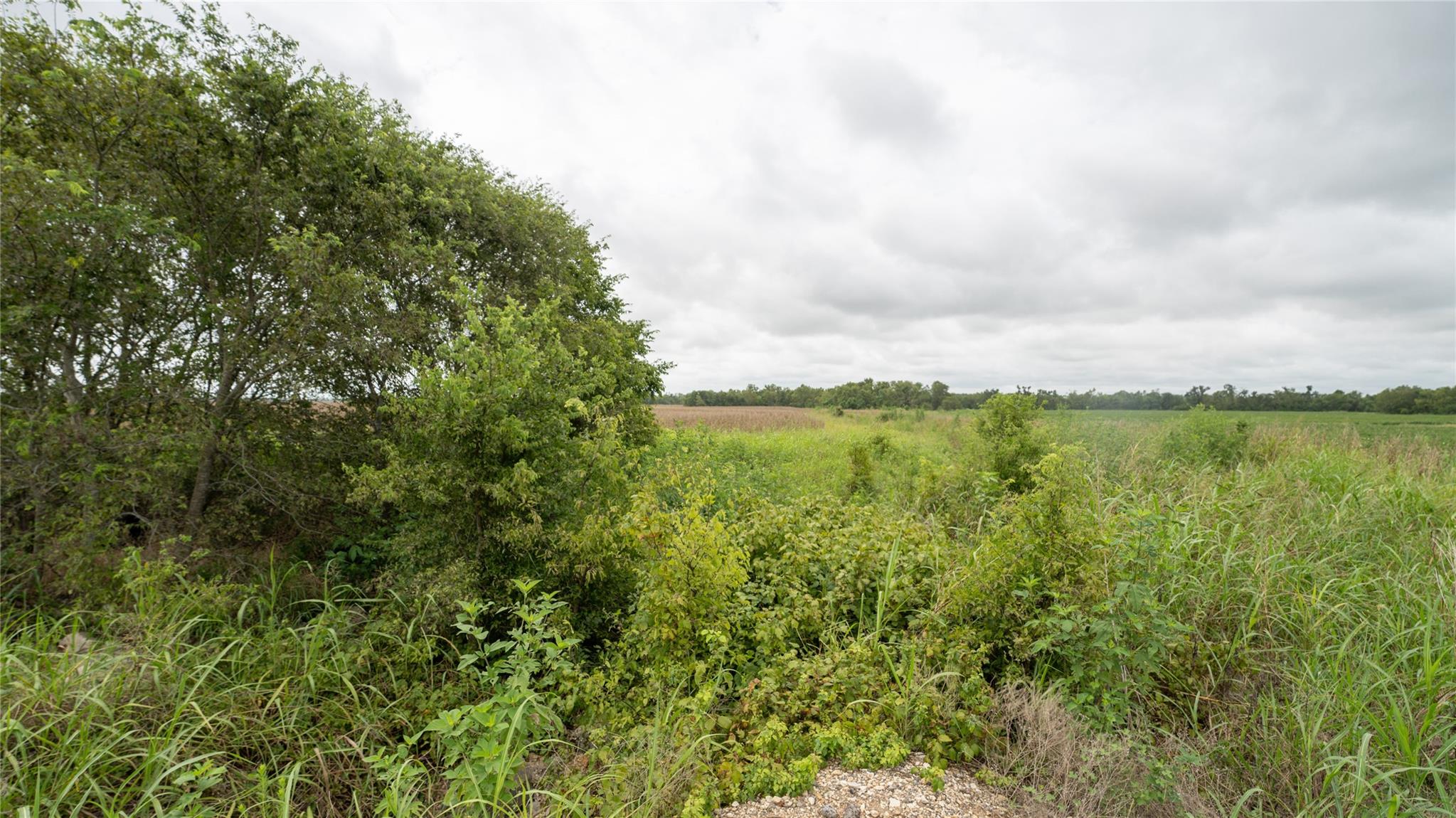 Tbd Cr 240a Property Photo 5