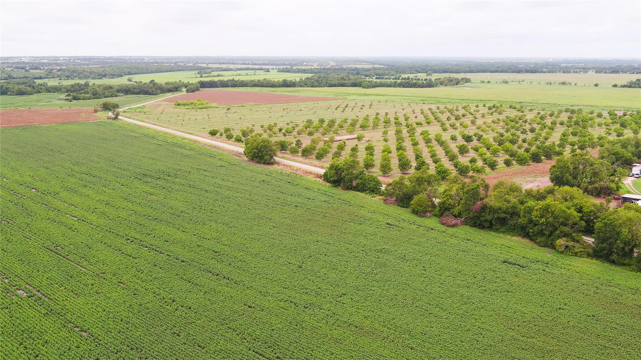 Tbd Cr 240a Property Photo 7