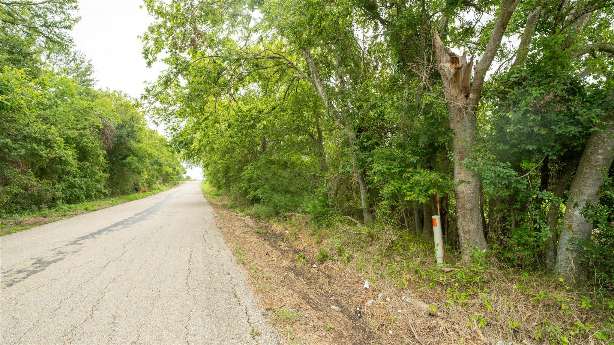 Tbd Cr 240a Property Photo 8