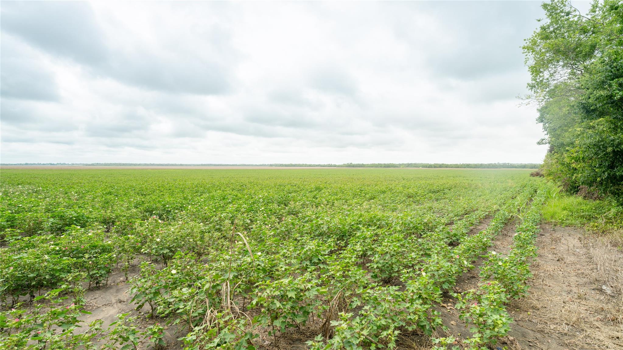 Tbd Cr 240a Property Photo 9
