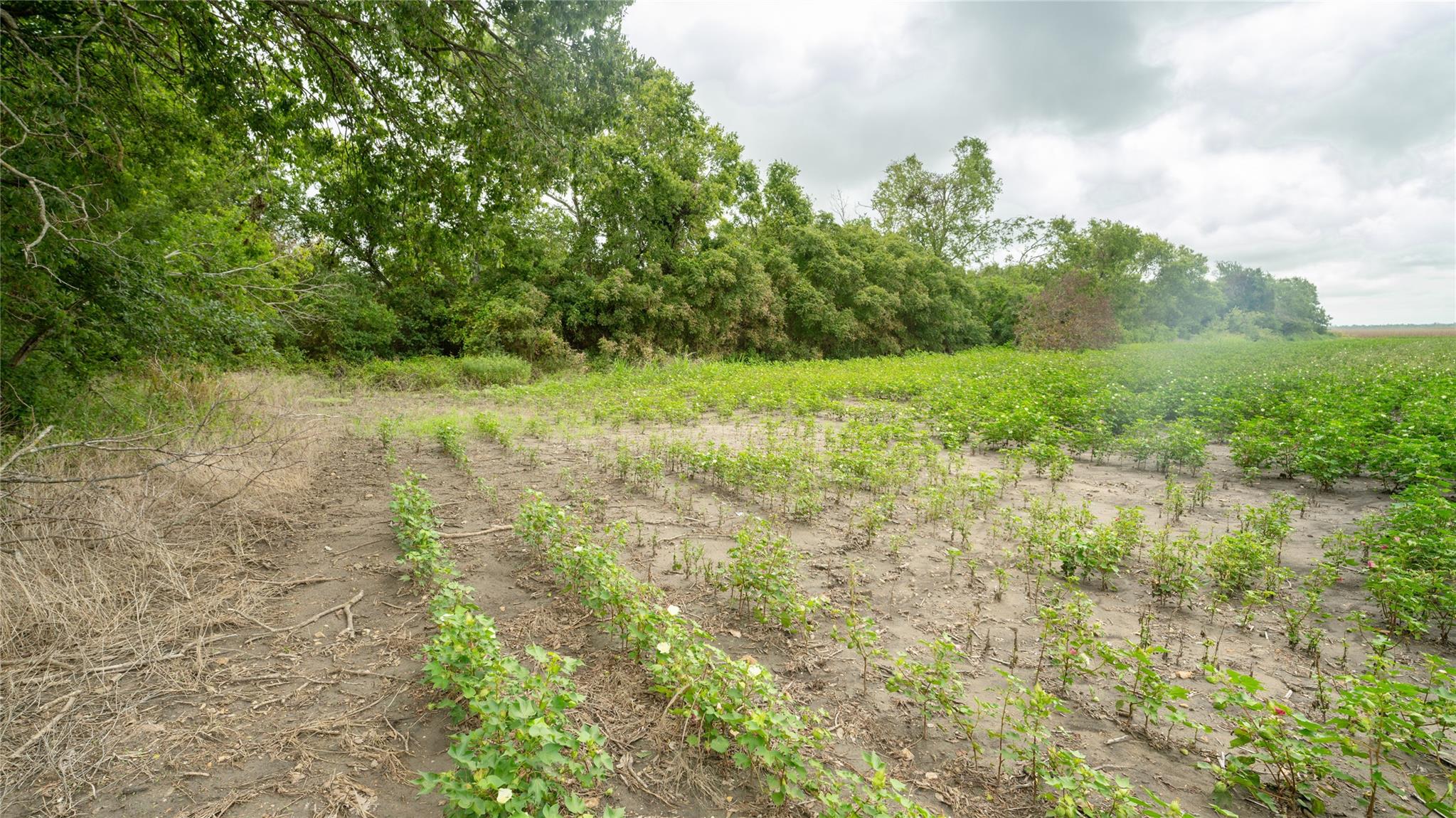 Tbd Cr 240a Property Photo 10