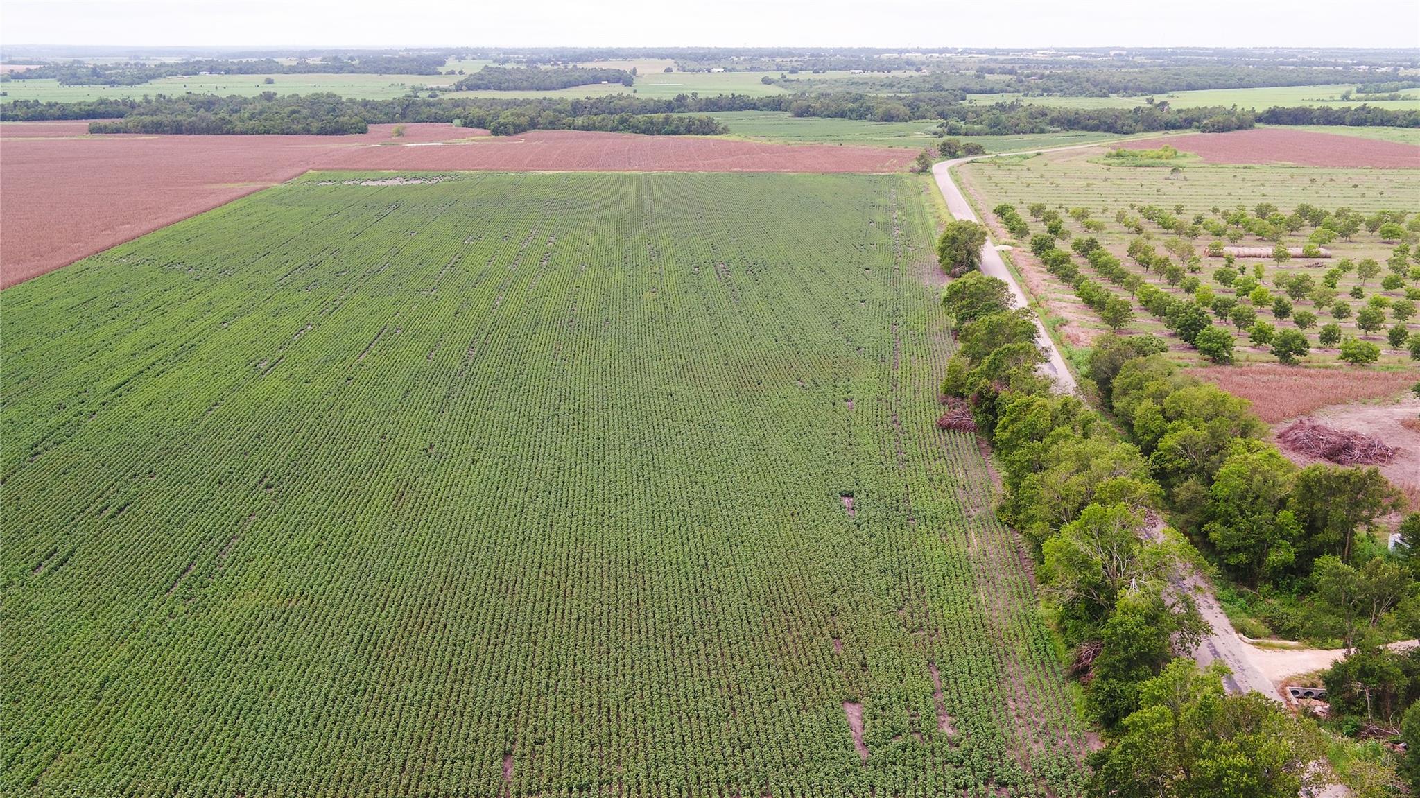 Tbd Cr 240a Property Photo 11