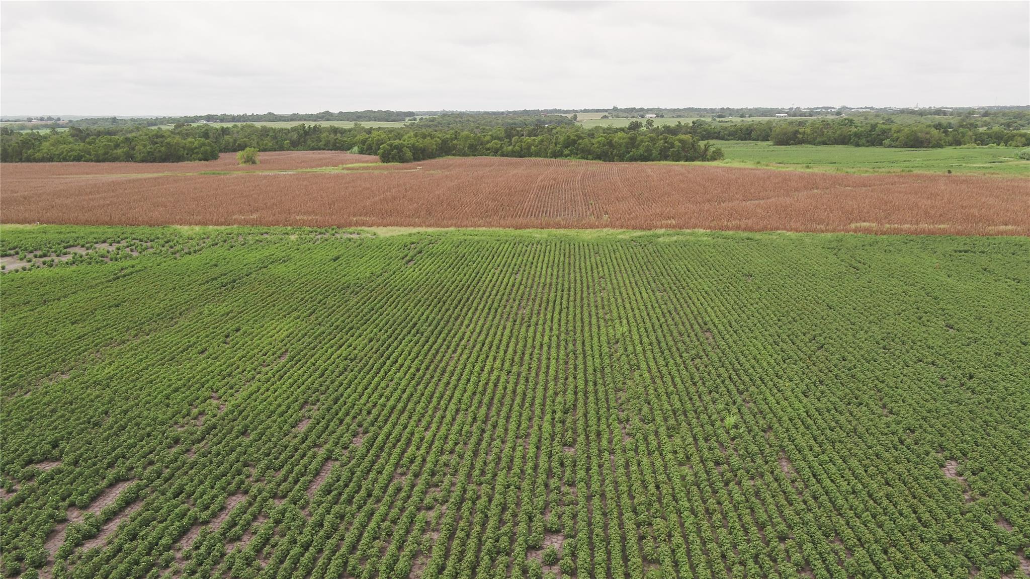 Tbd Cr 240a Property Photo 15
