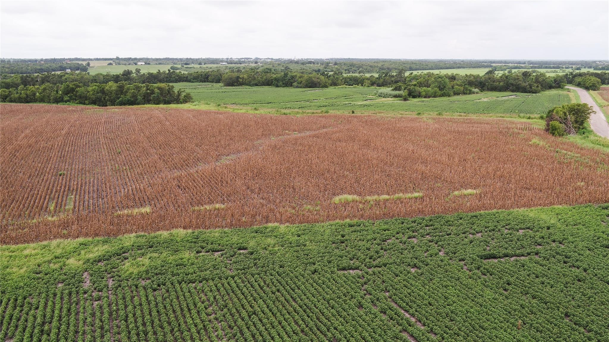 Tbd Cr 240a Property Photo 16