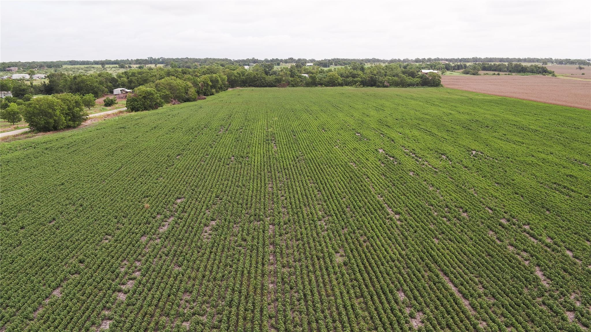 Tbd Cr 240a Property Photo 17