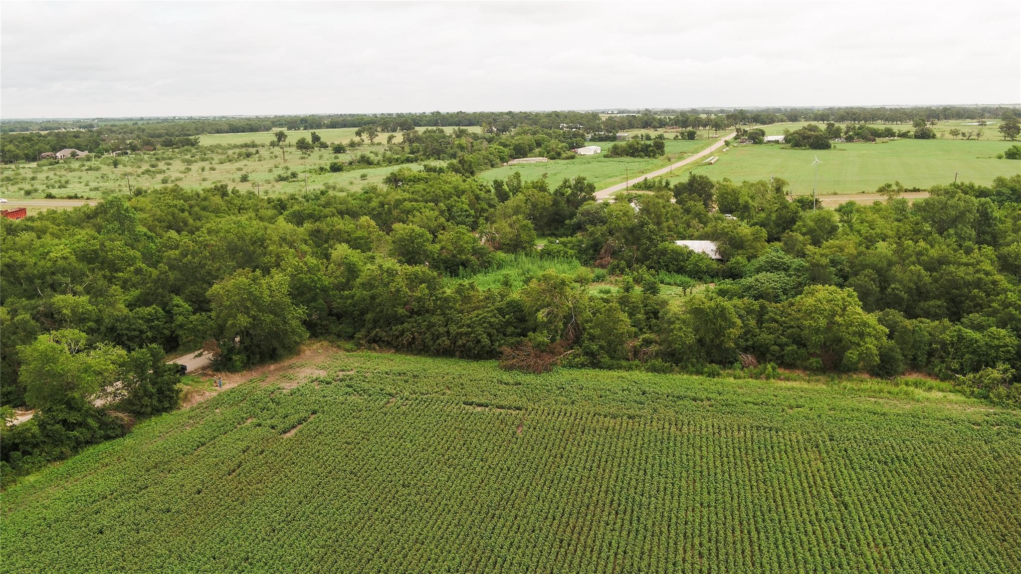 Tbd Cr 240a Property Photo 18