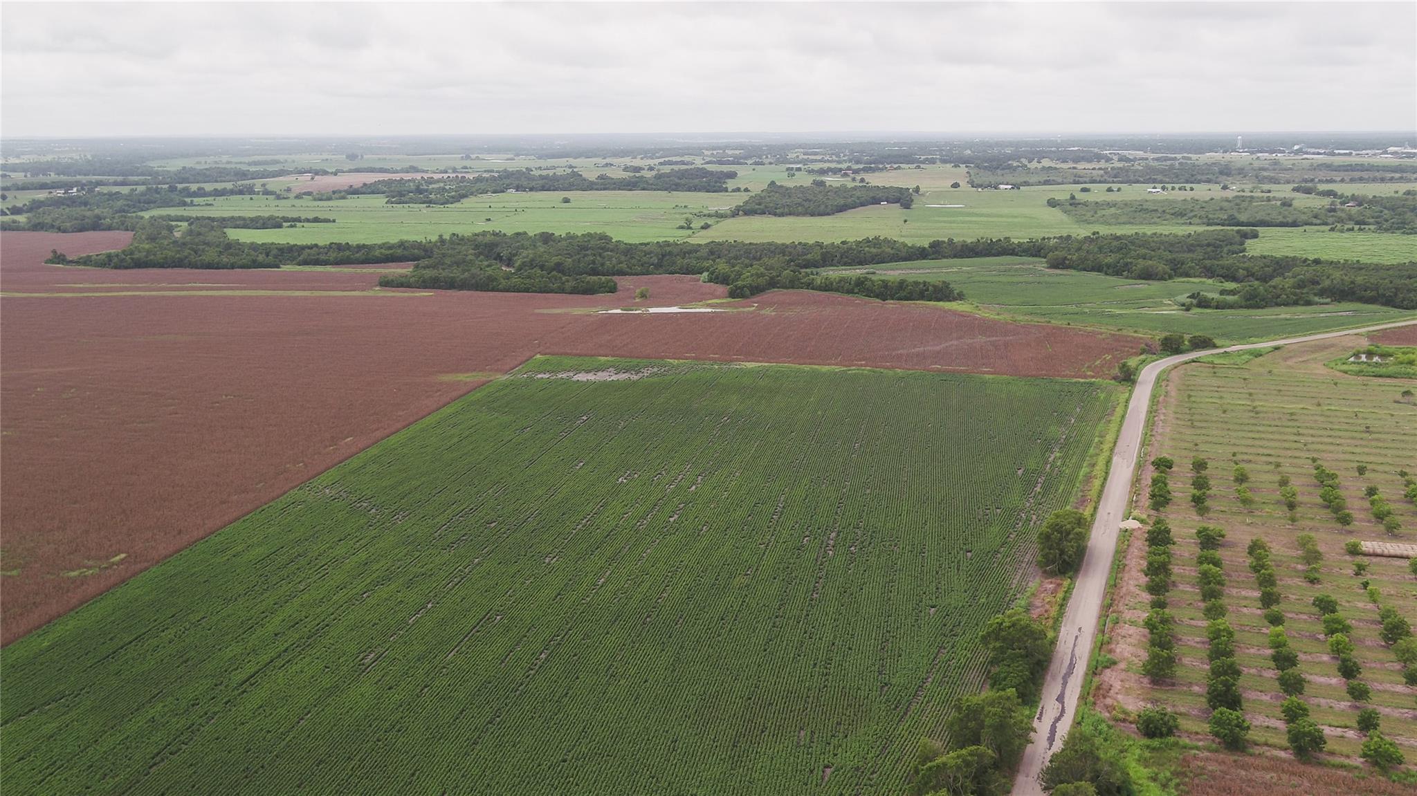 Tbd Cr 240a Property Photo 19